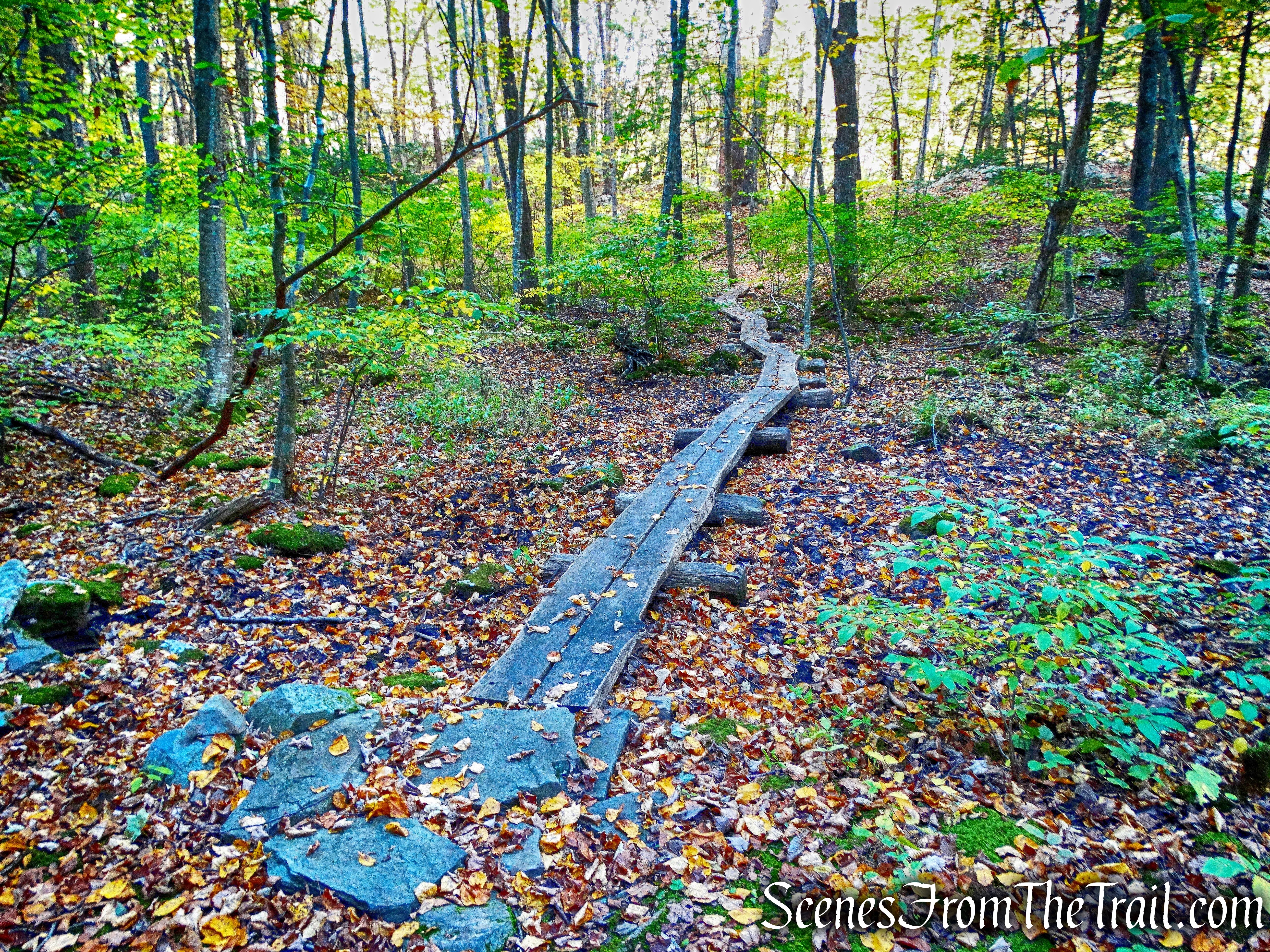 Ridge Trail - John Burroughs Nature Sanctuary