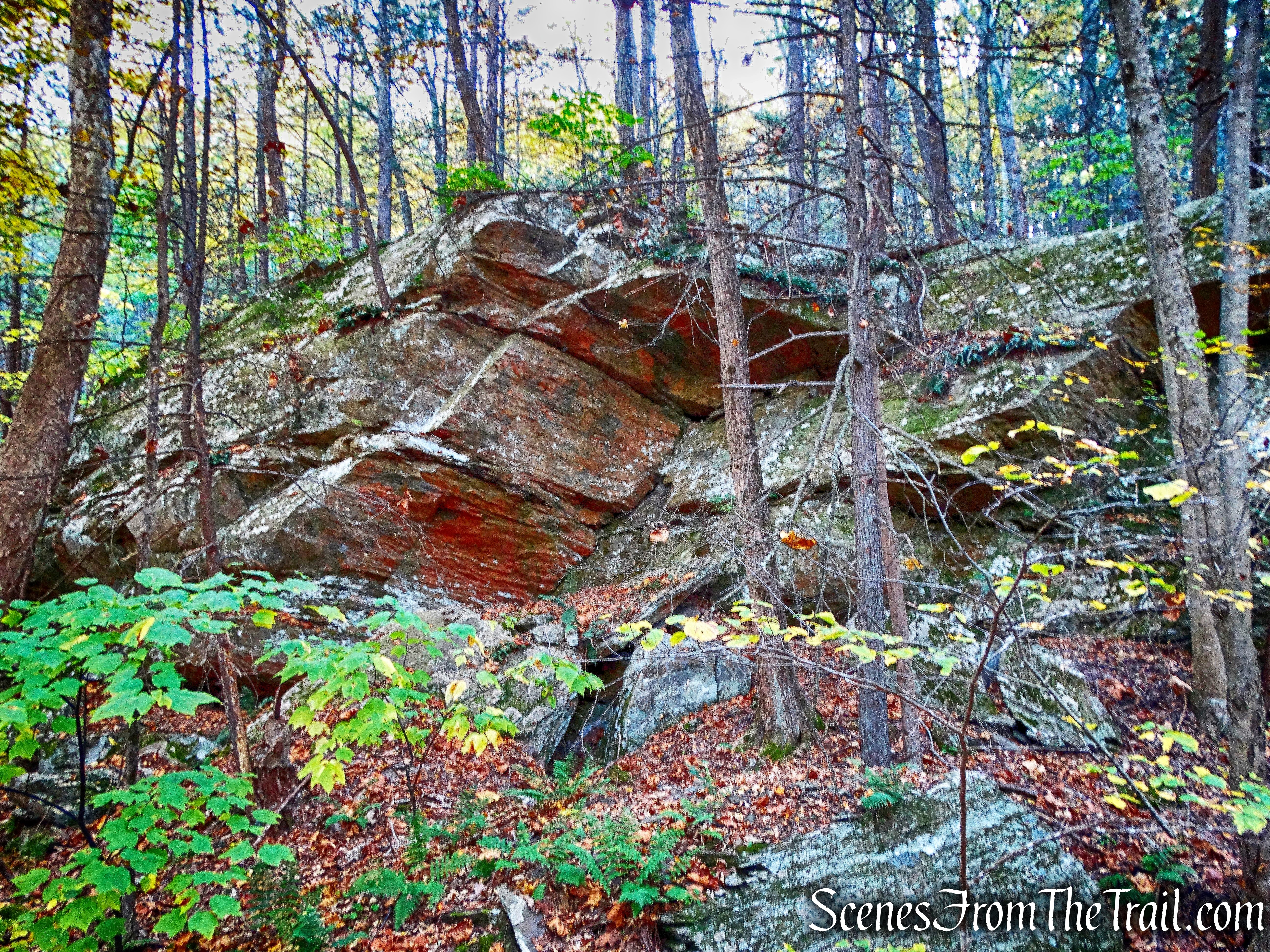 Ridge Trail - John Burroughs Nature Sanctuary