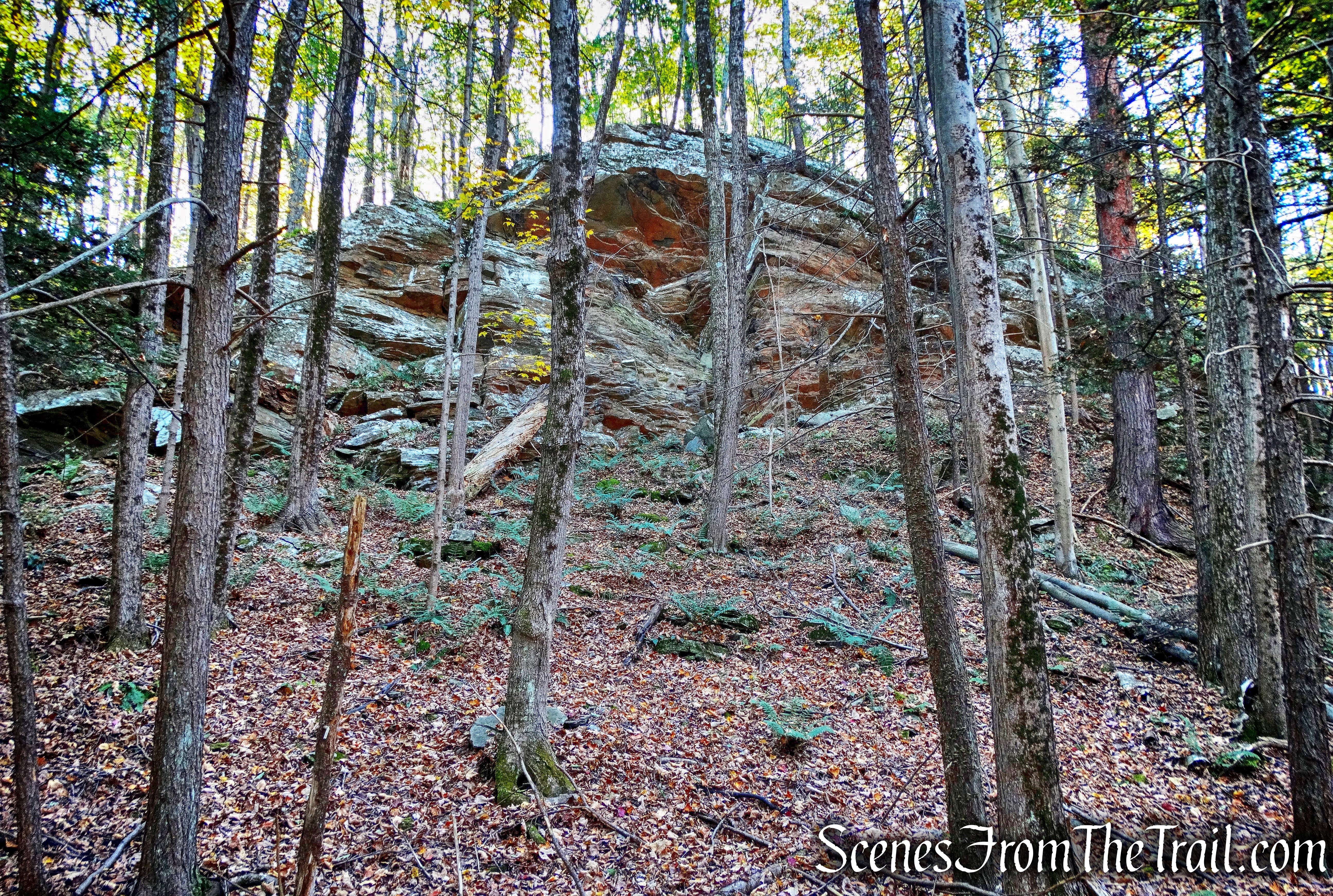 Ridge Trail - John Burroughs Nature Sanctuary