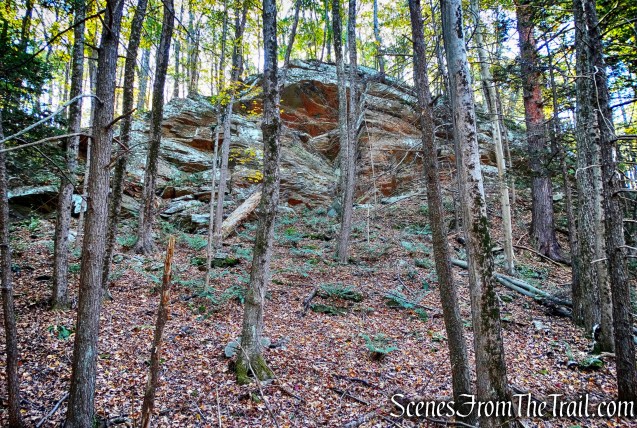 Ridge Trail - John Burroughs Nature Sanctuary