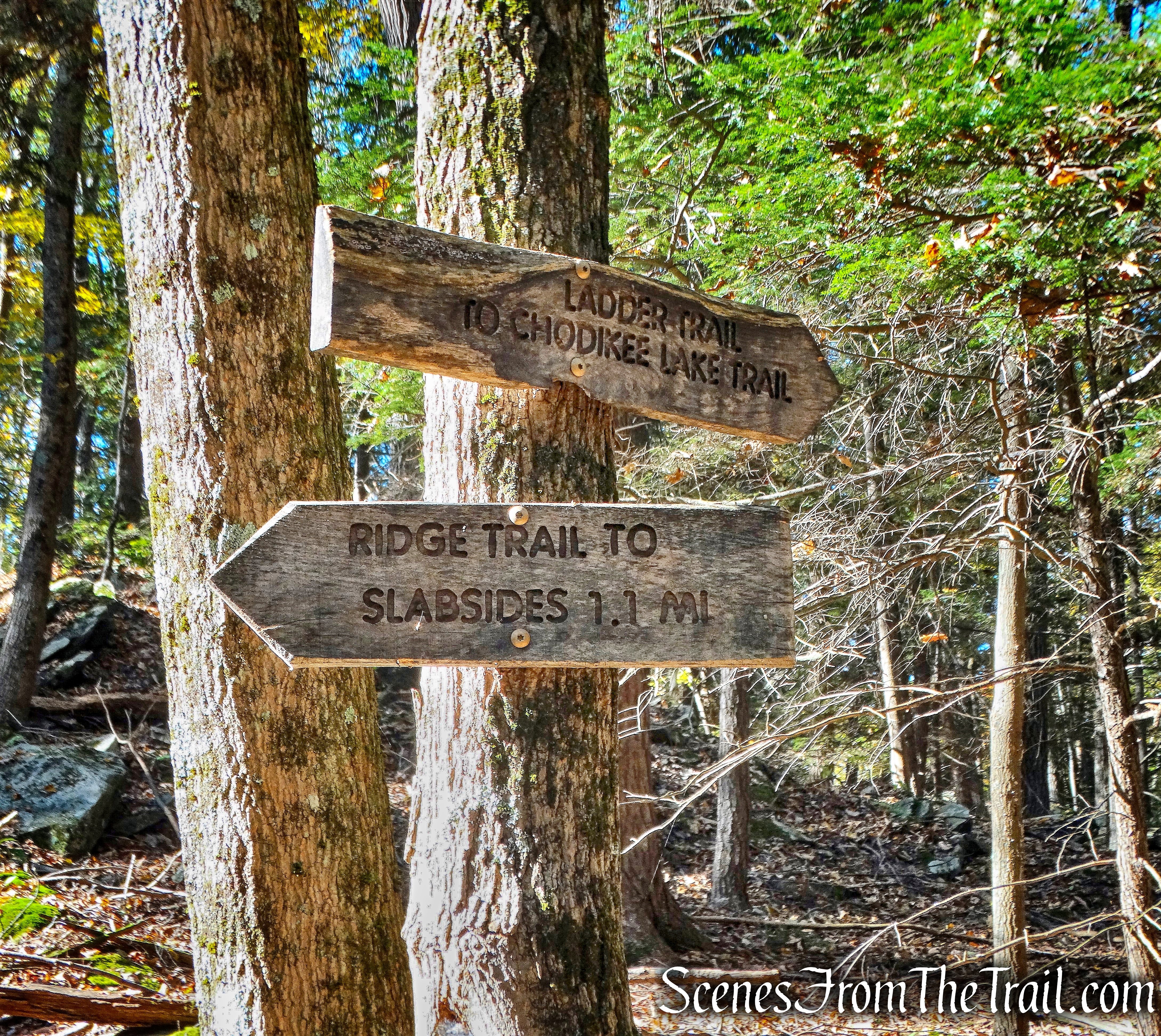 Ladder Trail - John Burroughs Nature Sanctuary