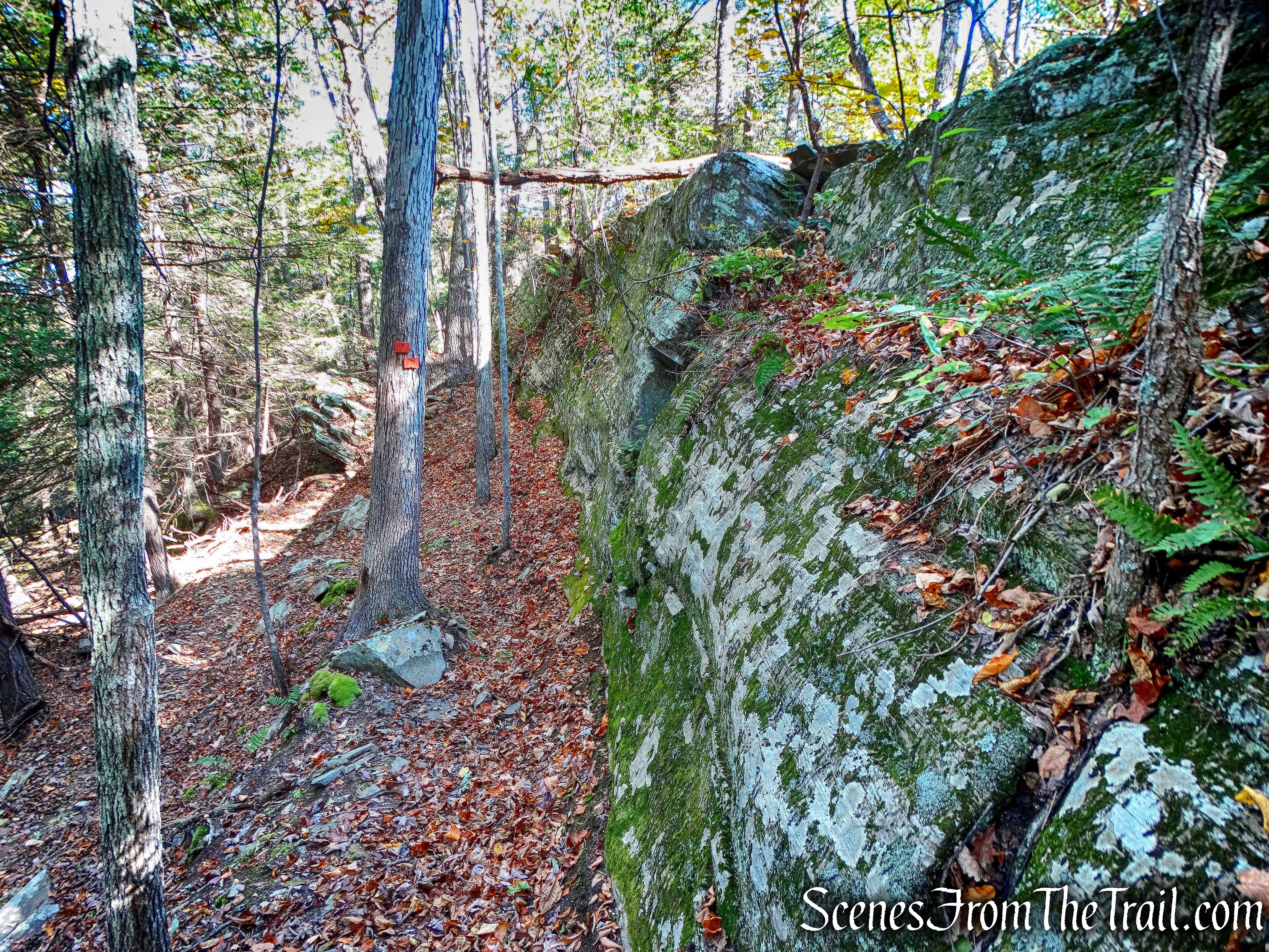 Ladder Trail - John Burroughs Nature Sanctuary