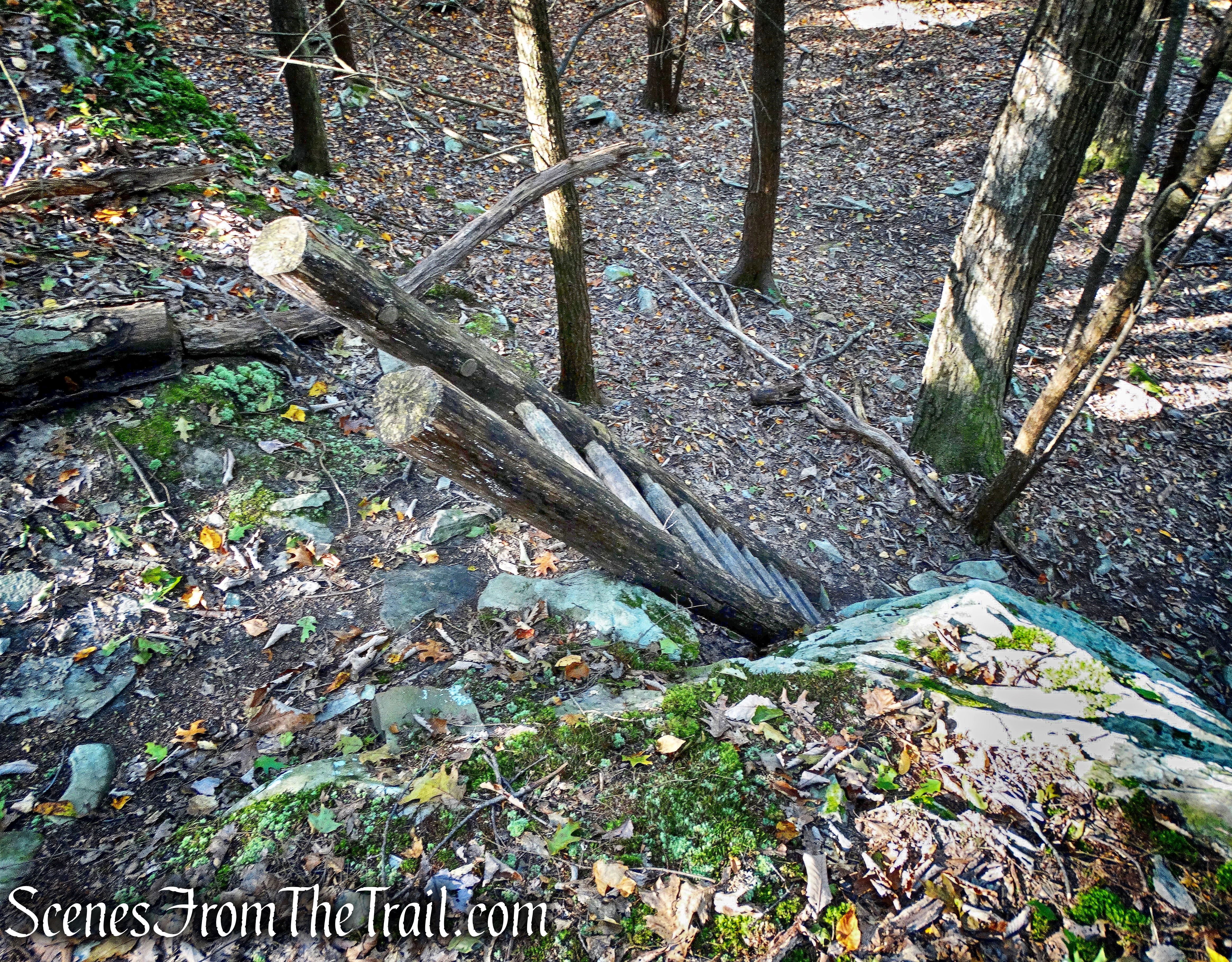 Ladder Trail - John Burroughs Nature Sanctuary