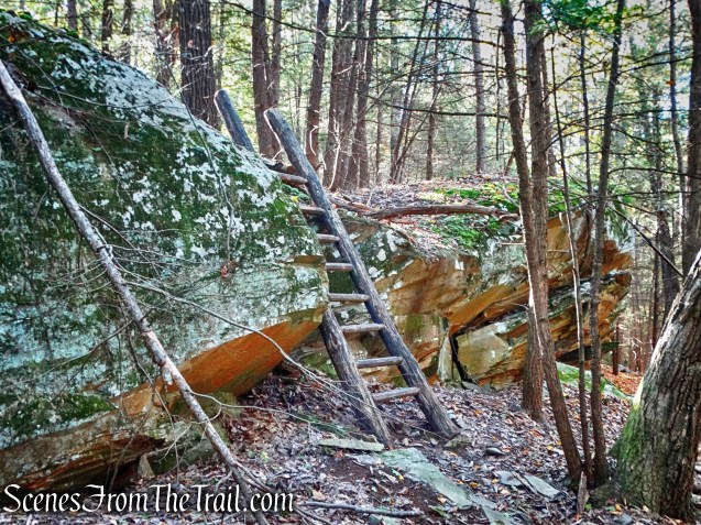 Ladder Trail - John Burroughs Nature Sanctuary