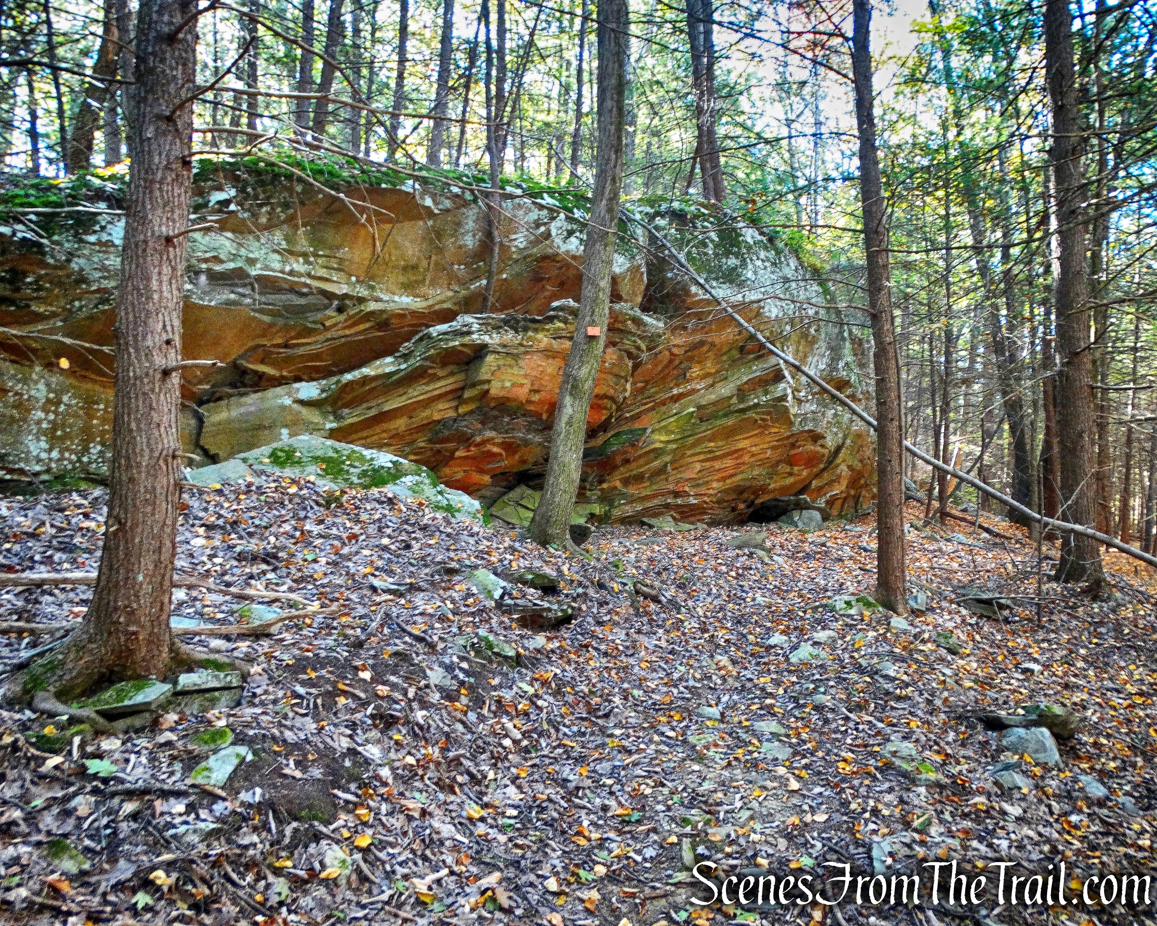 Ladder Trail - John Burroughs Nature Sanctuary