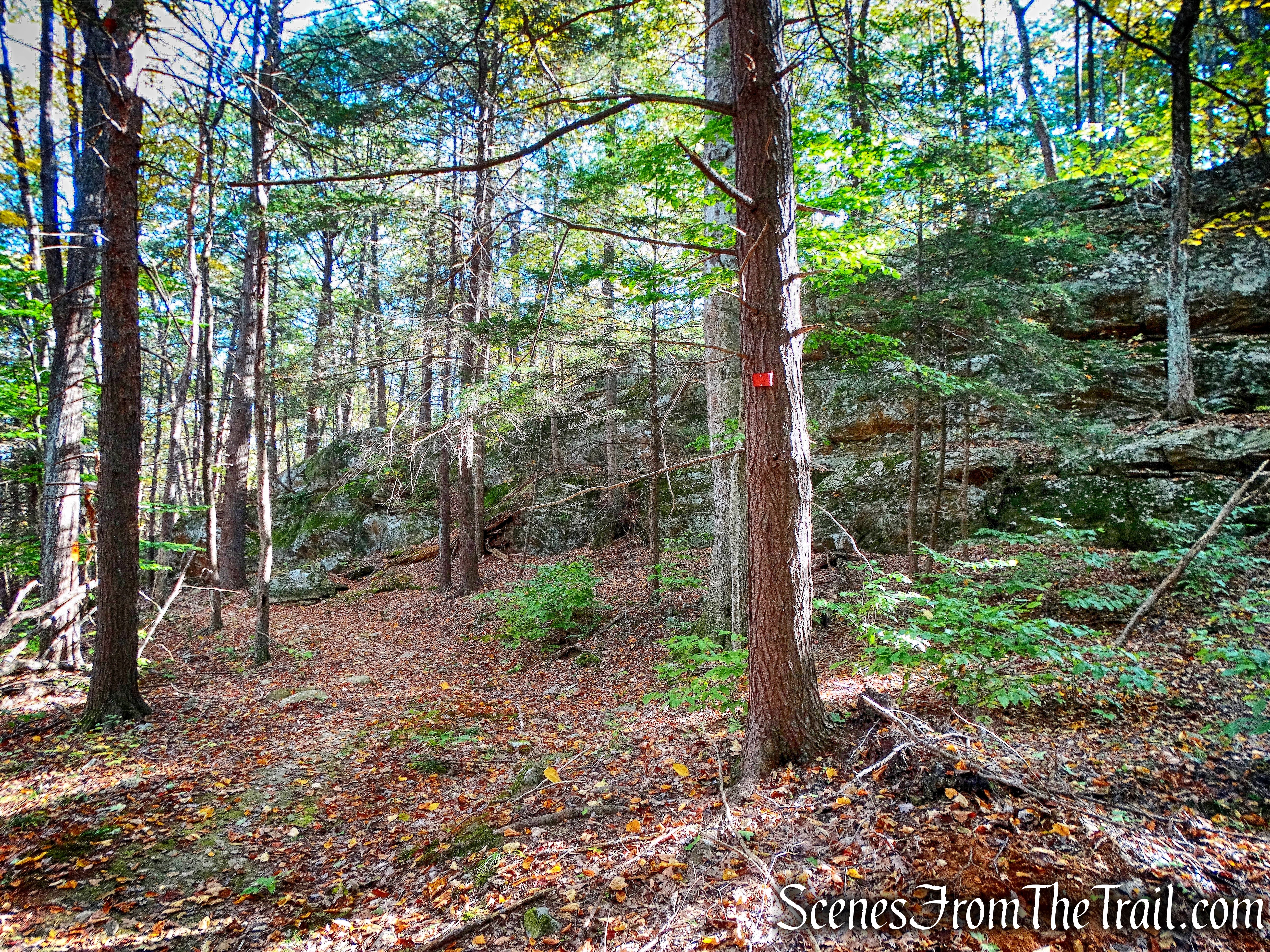 Chodikee Trail - John Burroughs Nature Sanctuary