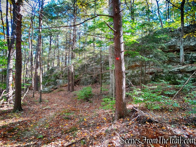 Chodikee Trail - John Burroughs Nature Sanctuary