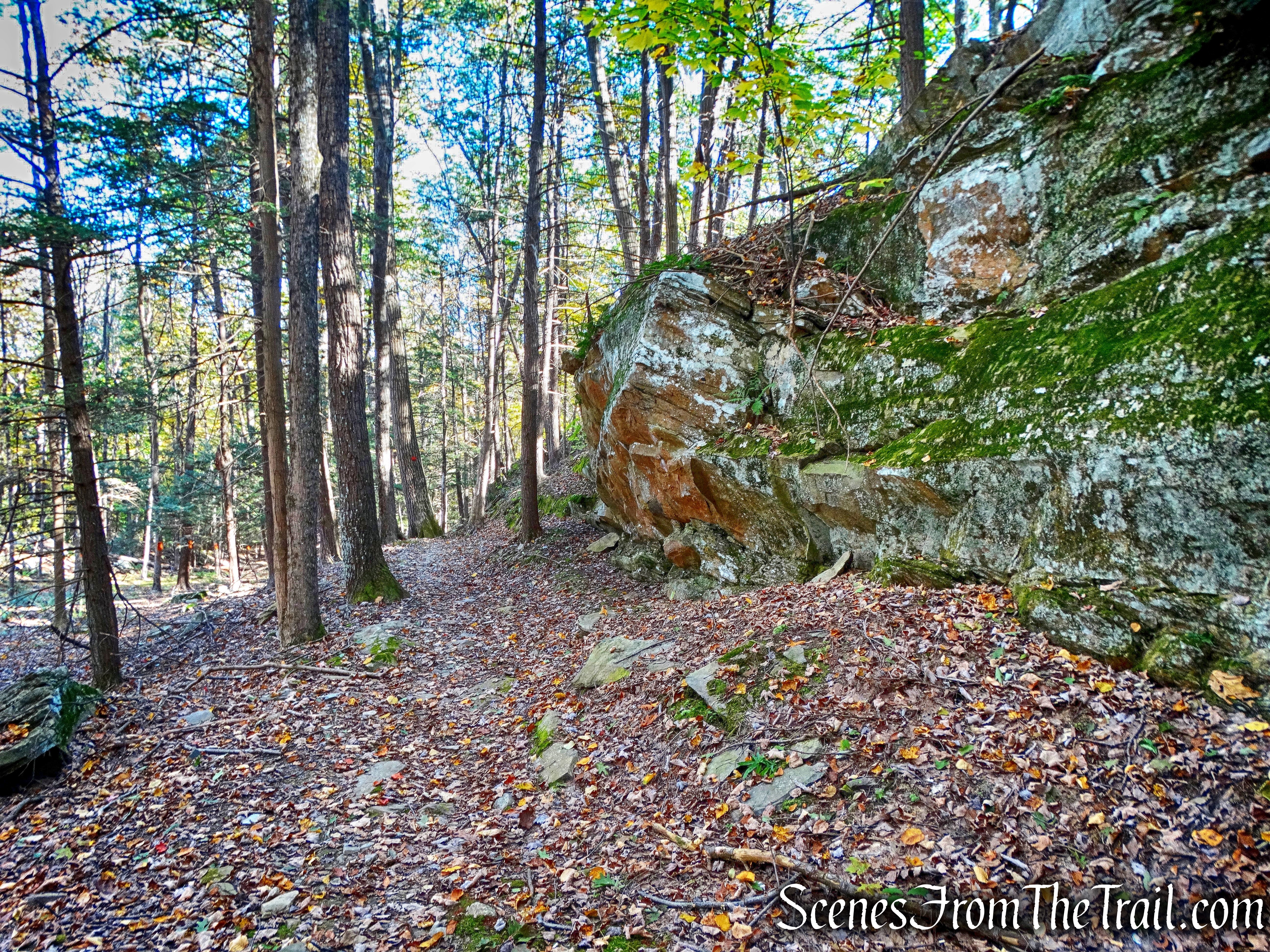 Chodikee Trail - John Burroughs Nature Sanctuary