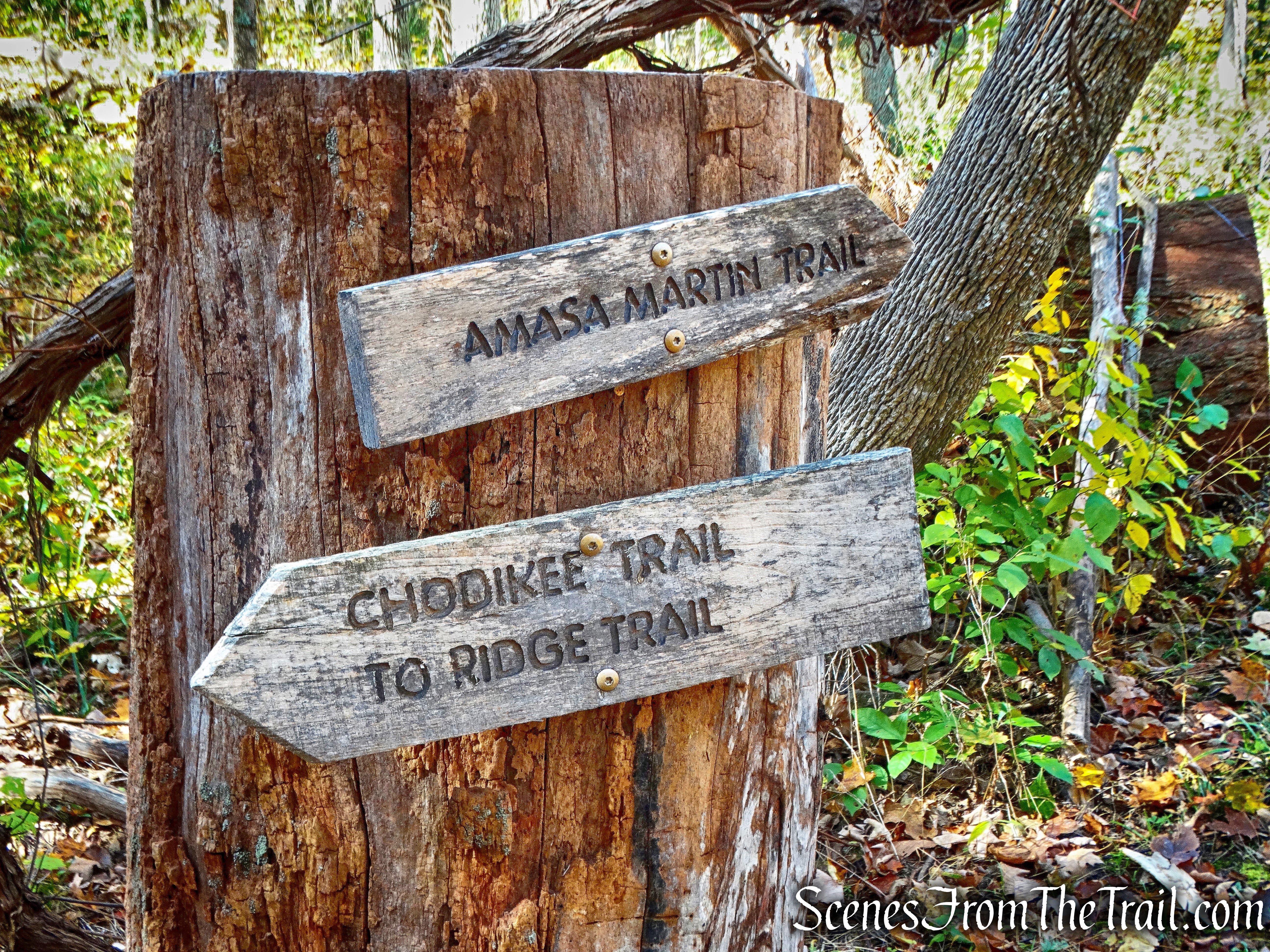 Amasa Martin Trail - John Burroughs Nature Sanctuary