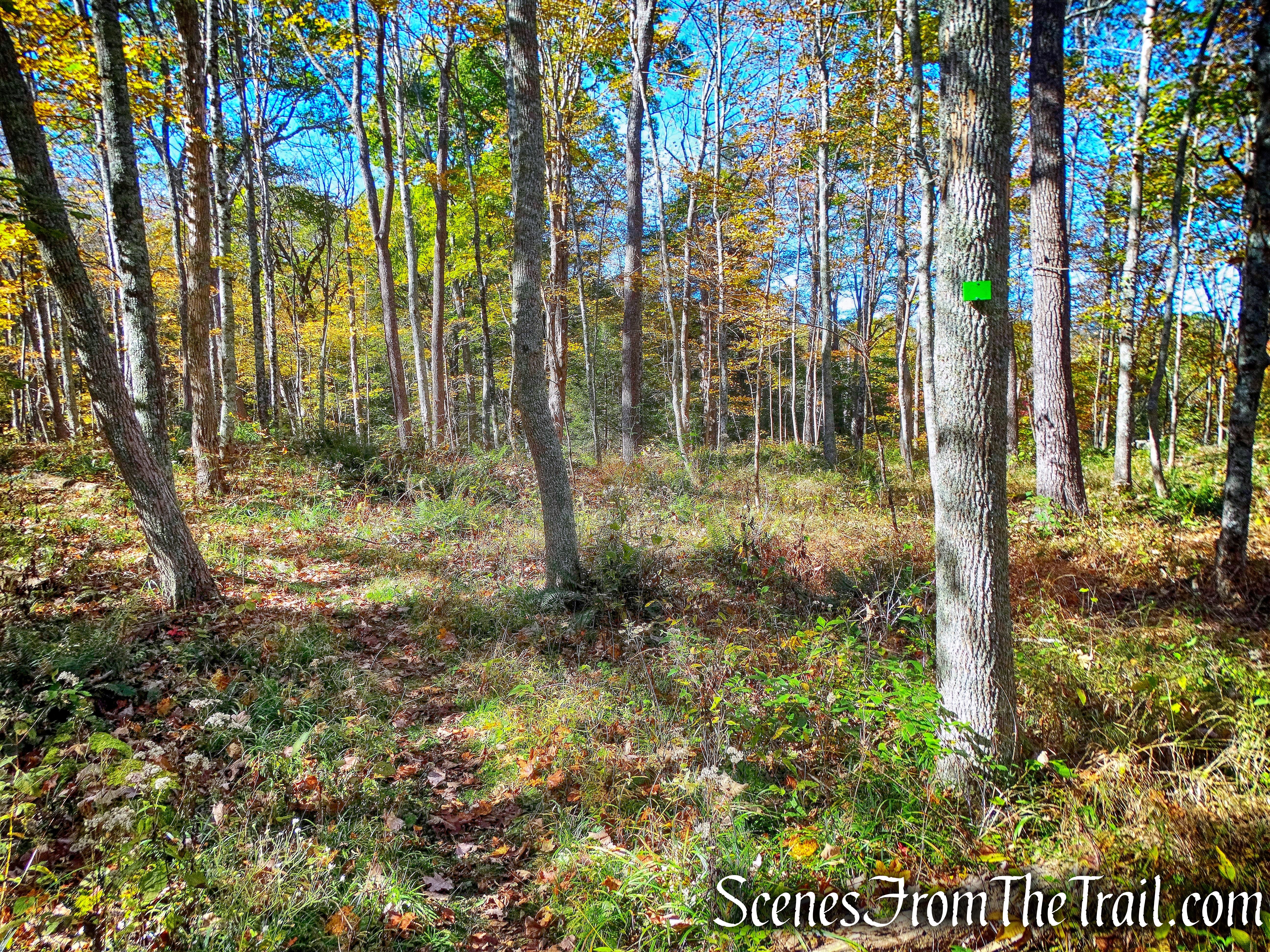 Amasa Martin Trail - John Burroughs Nature Sanctuary