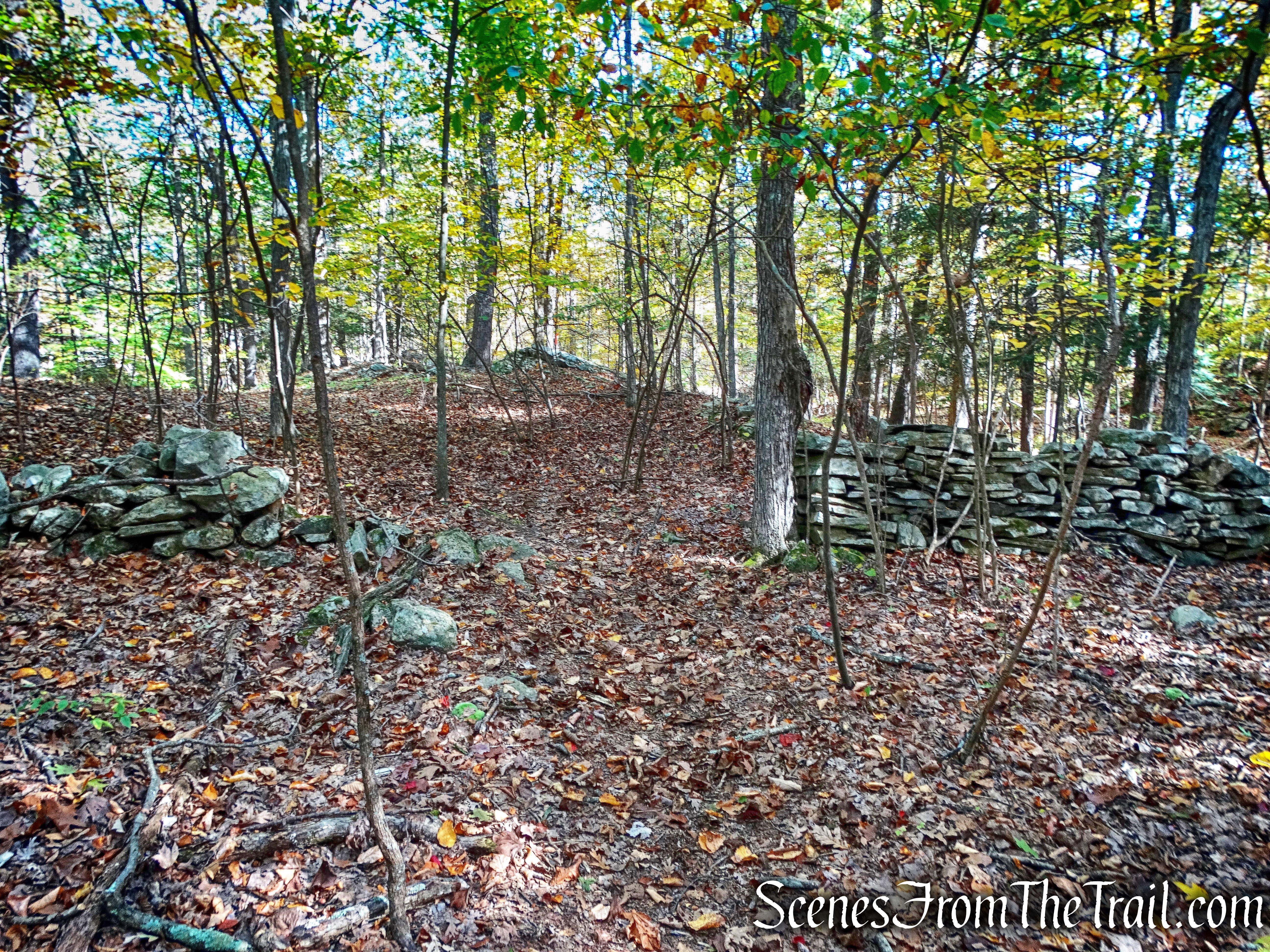 Amasa Martin Trail - John Burroughs Nature Sanctuary