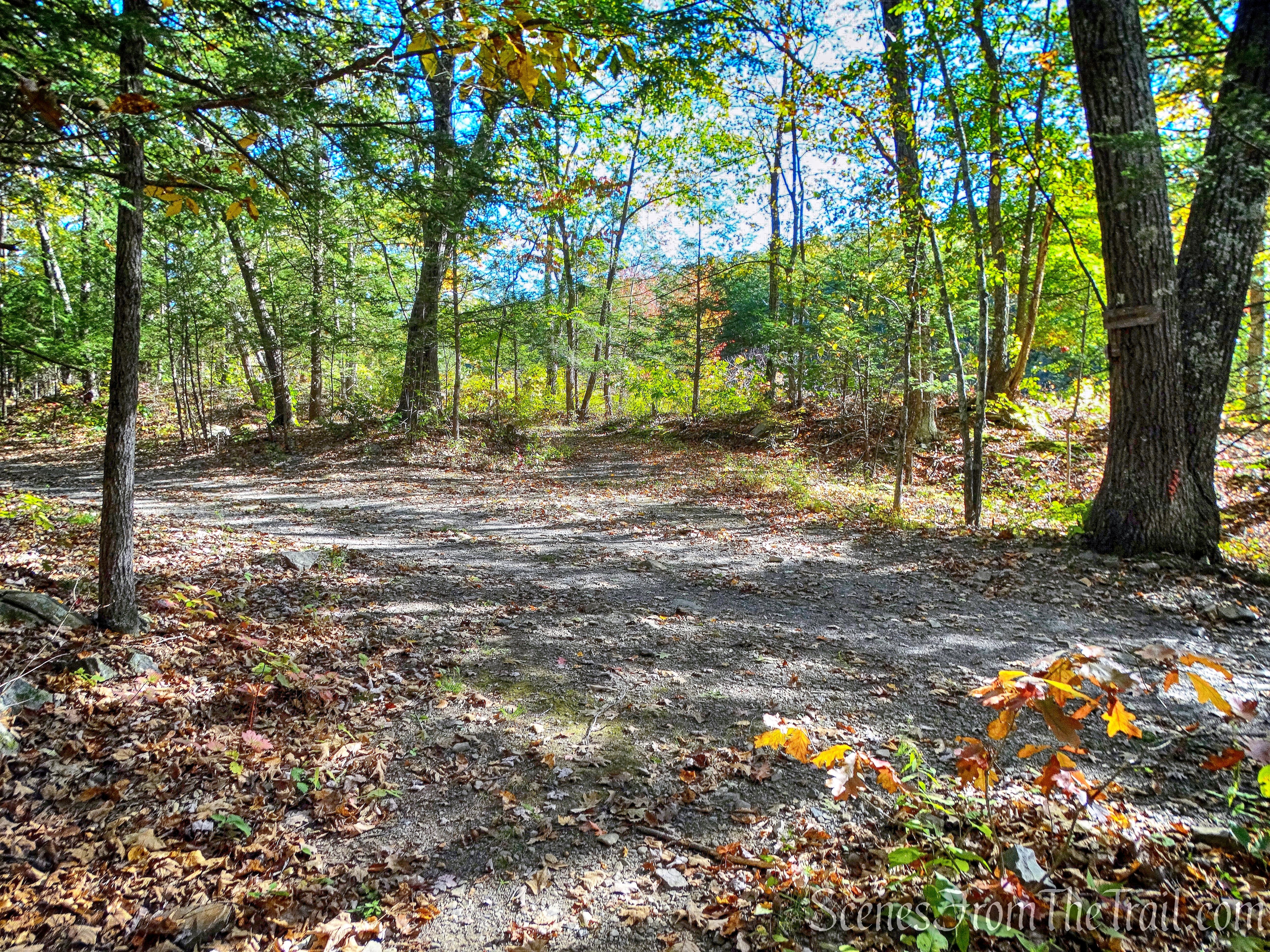 Cross Pond Lane to the Peninsula Trail