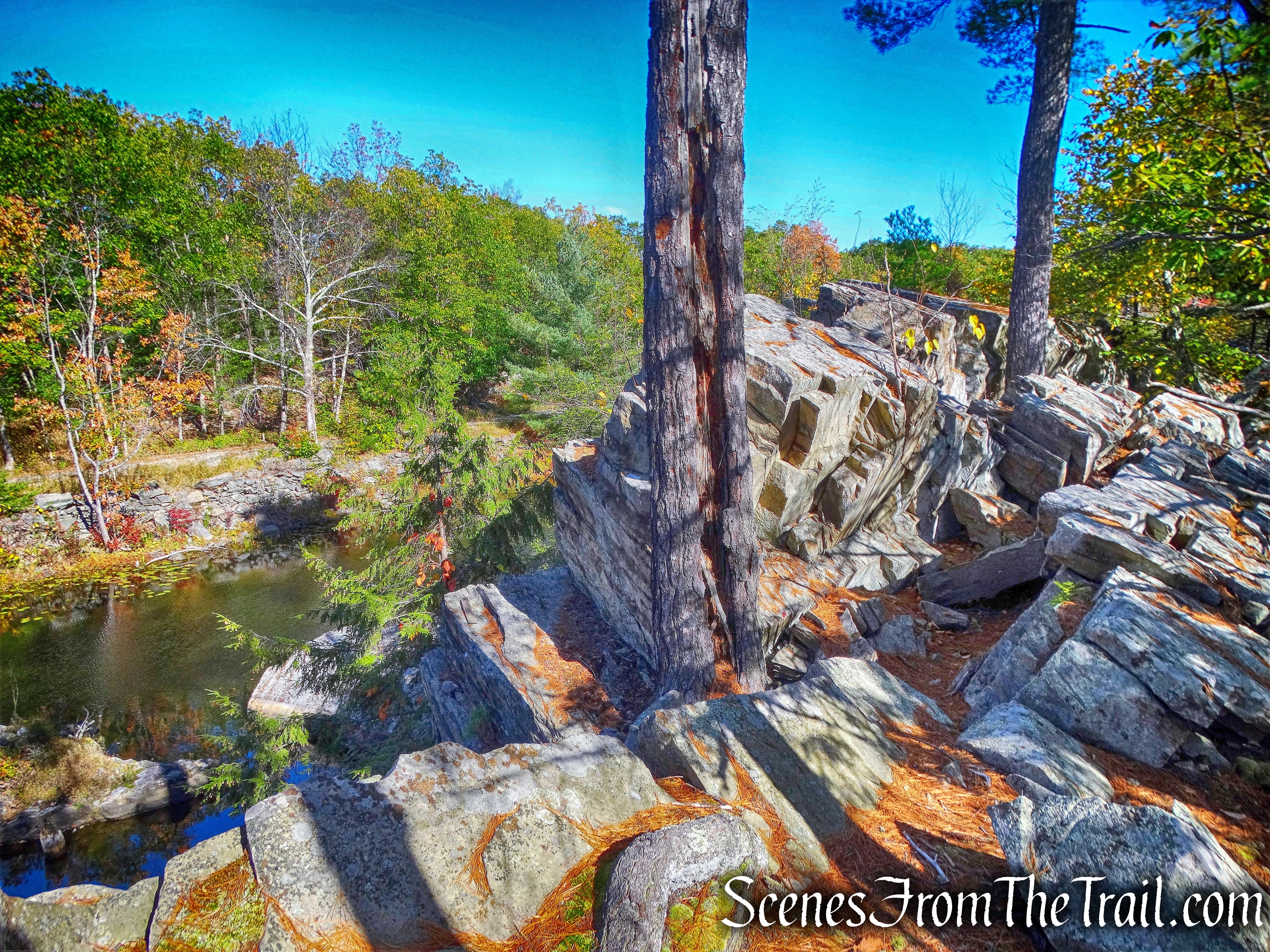Peninsula Trail - John Burroughs Nature Sanctuary