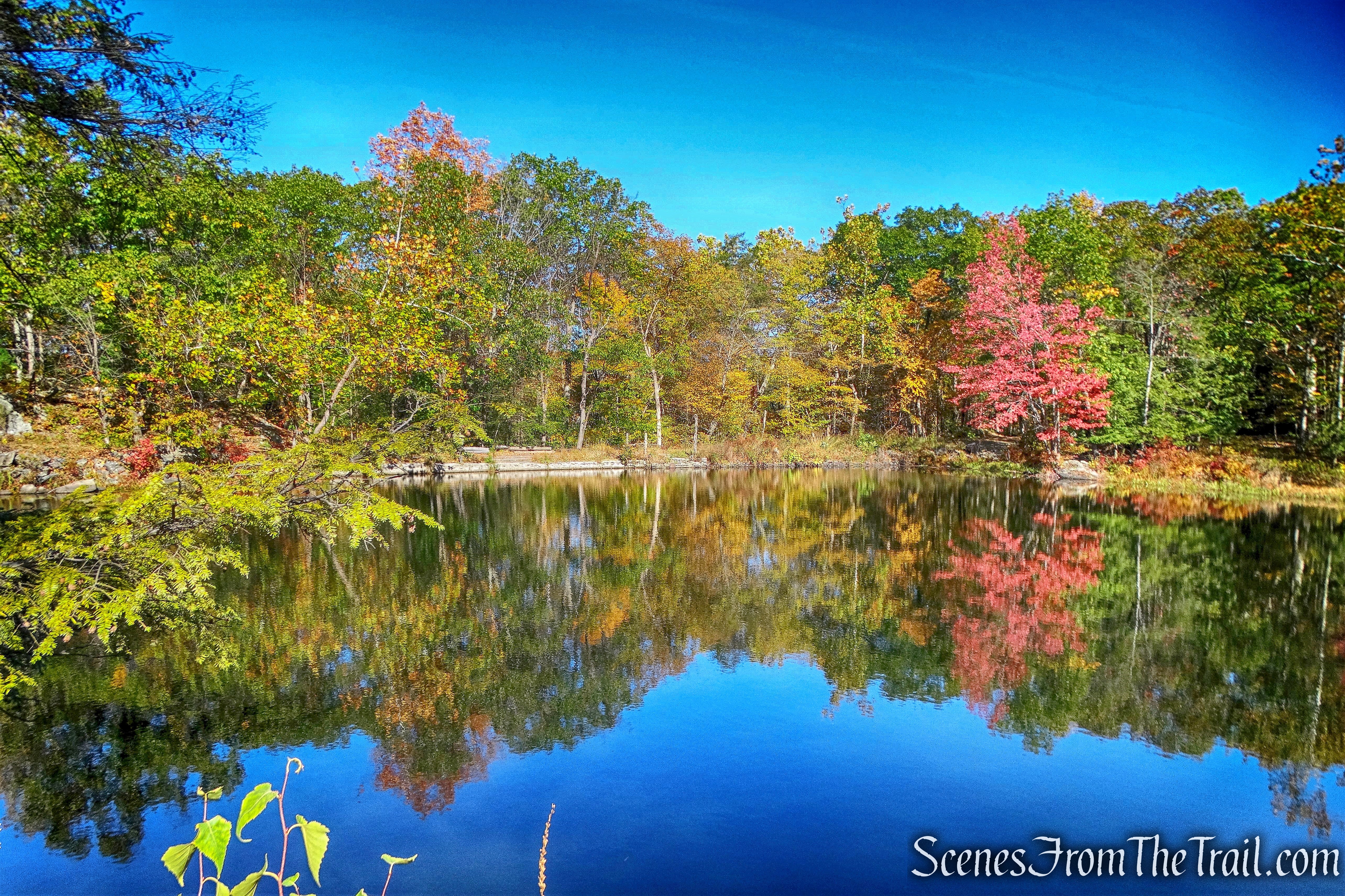 Peninsula Trail - John Burroughs Nature Sanctuary