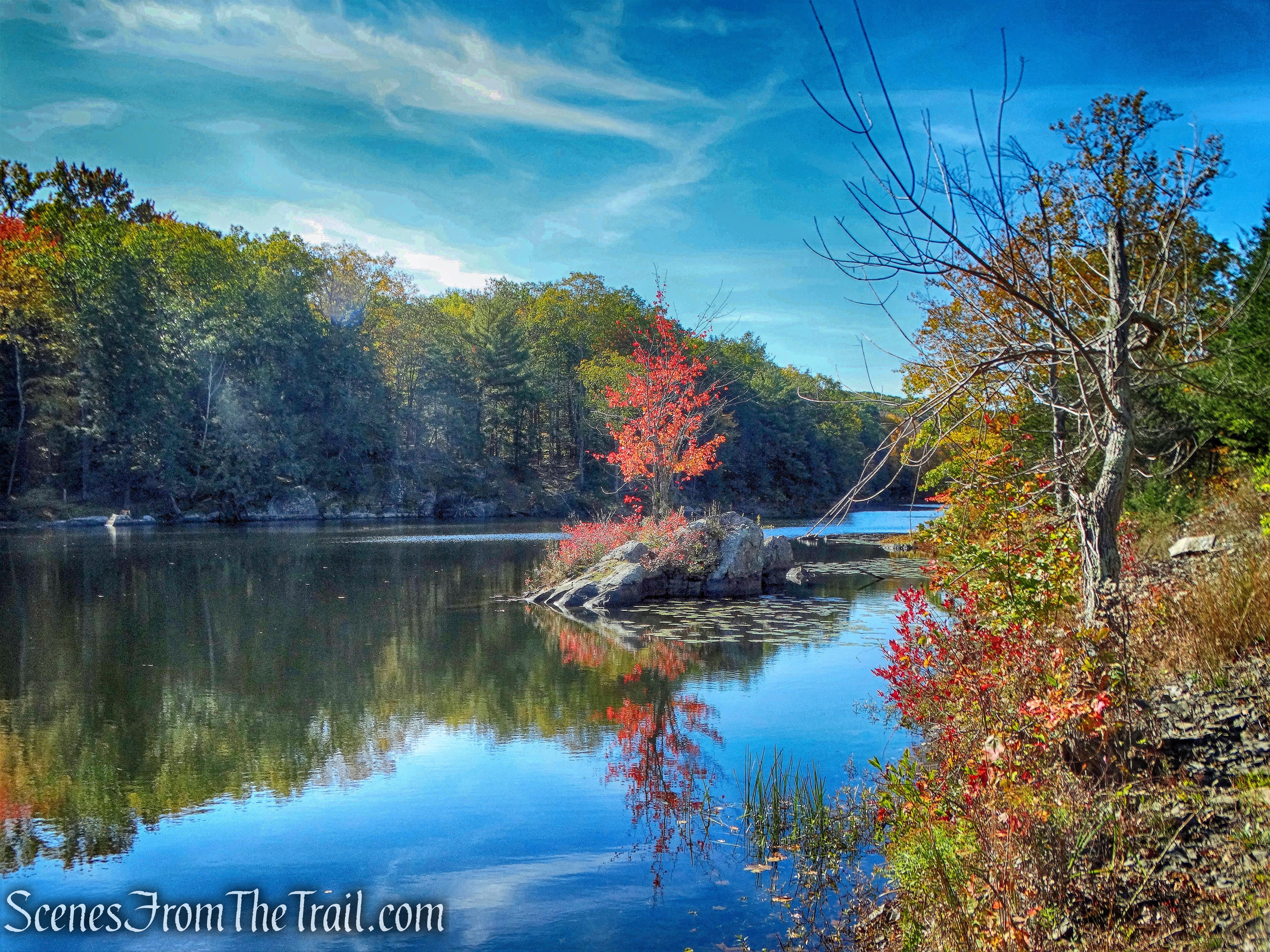 Peninsula Trail - John Burroughs Nature Sanctuary
