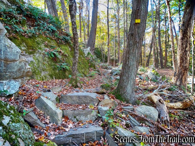 South Pond Trail - John Burroughs Nature Sanctuary