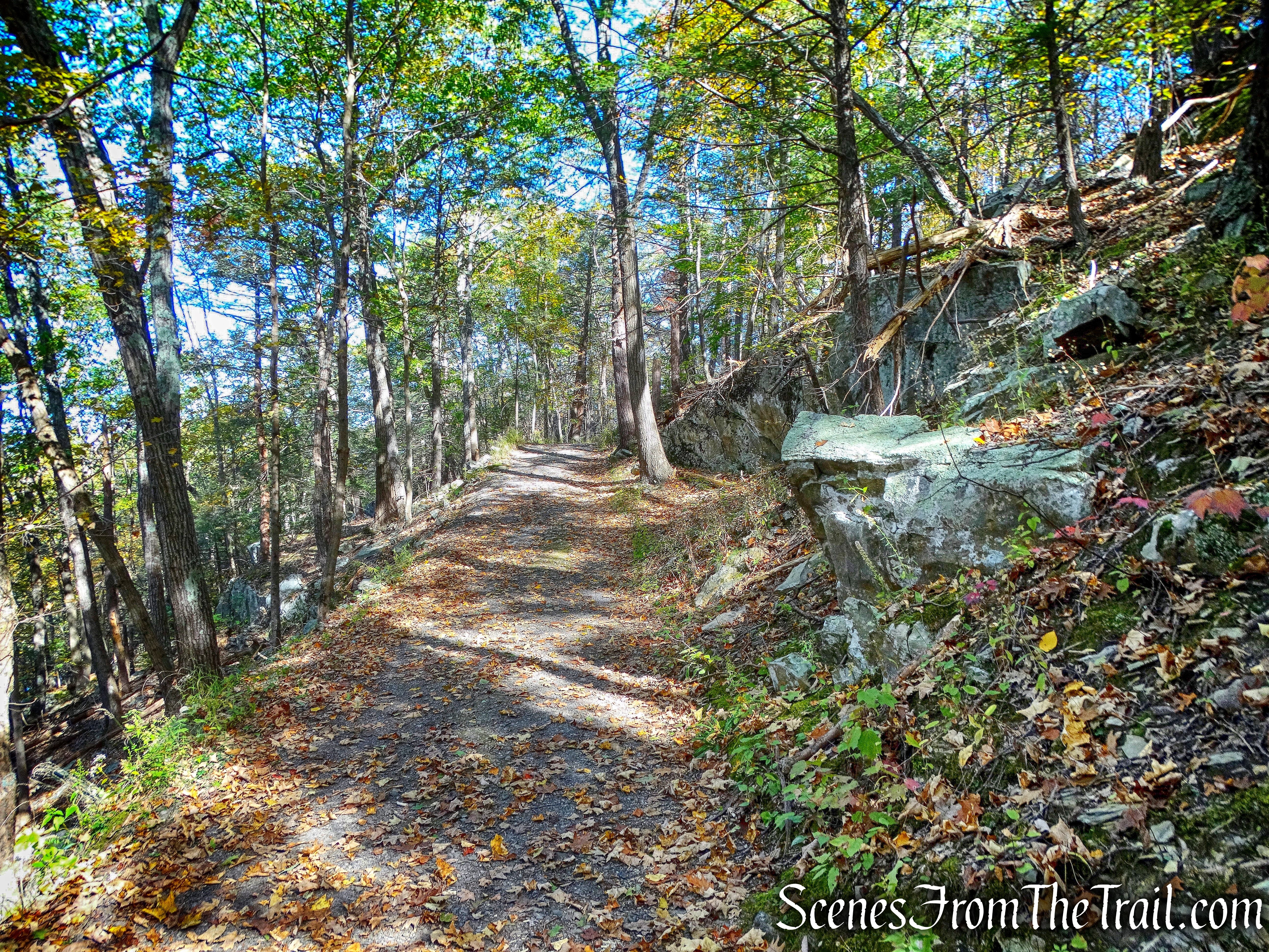 Old logging road - John Burroughs Nature Sanctuary