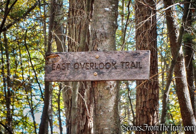East Overlook Trail - John Burroughs Nature Sanctuary