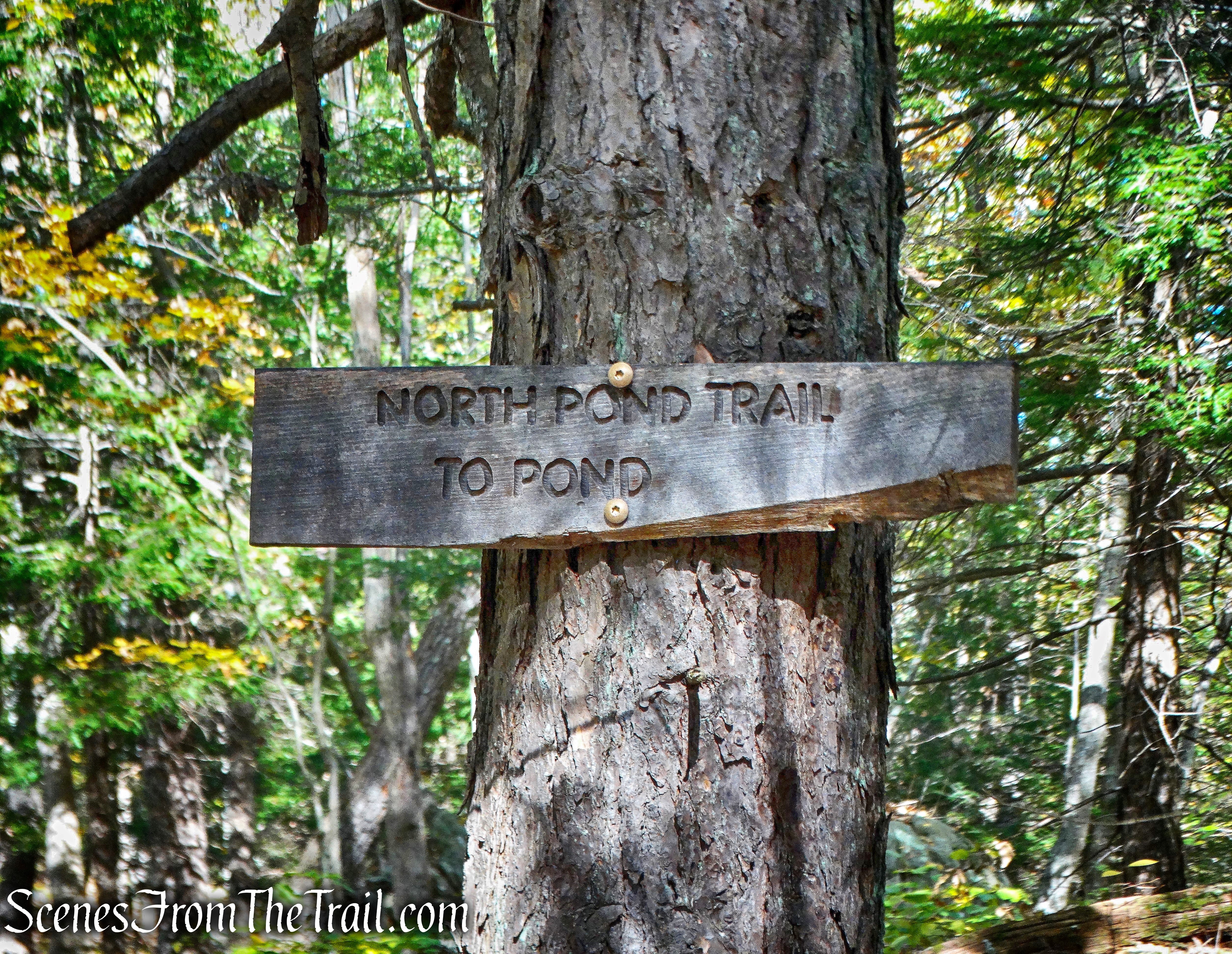 North Pond Trail - John Burroughs Nature Sanctuary