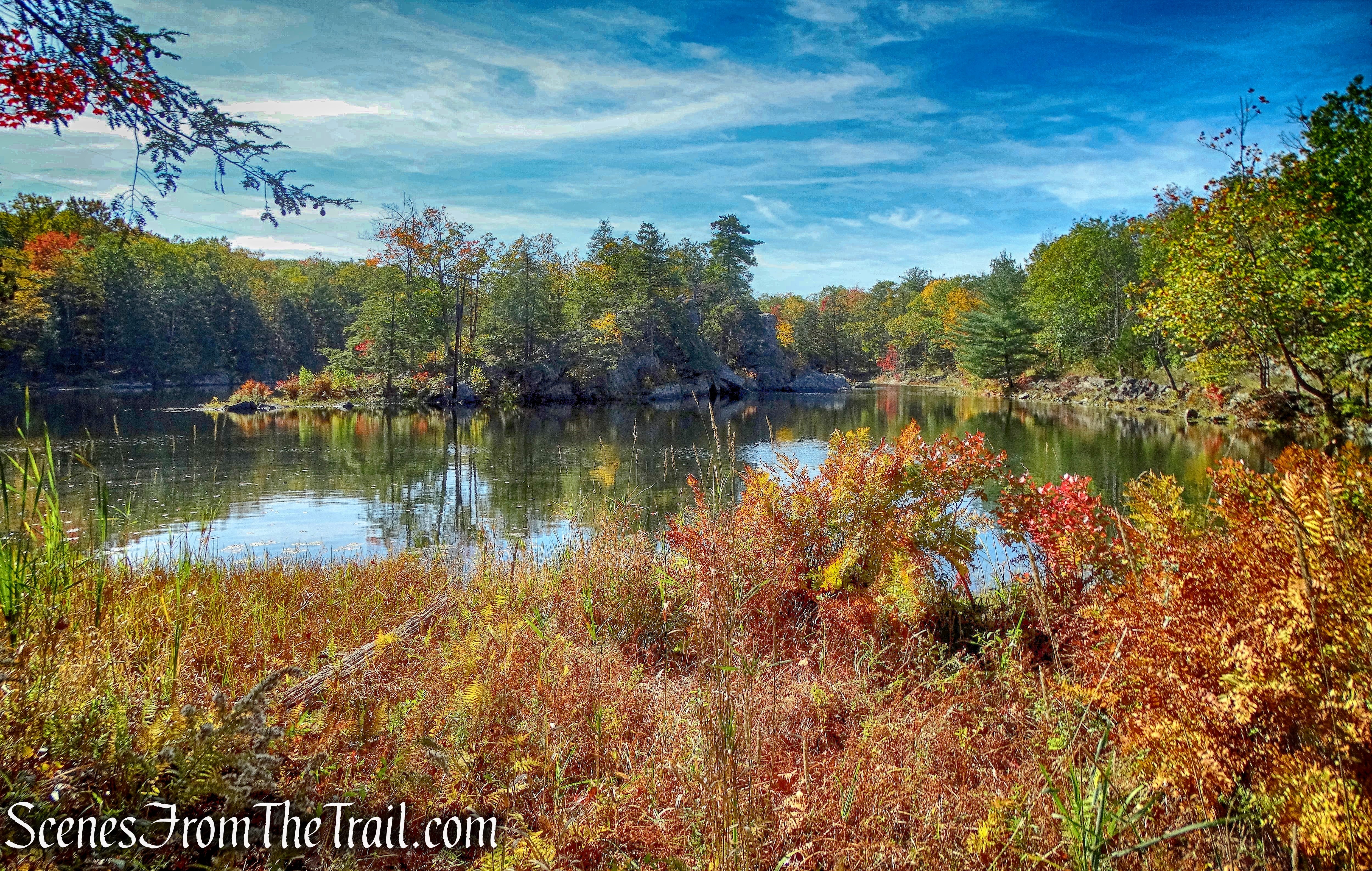 North Pond Trail - John Burroughs Nature Sanctuary