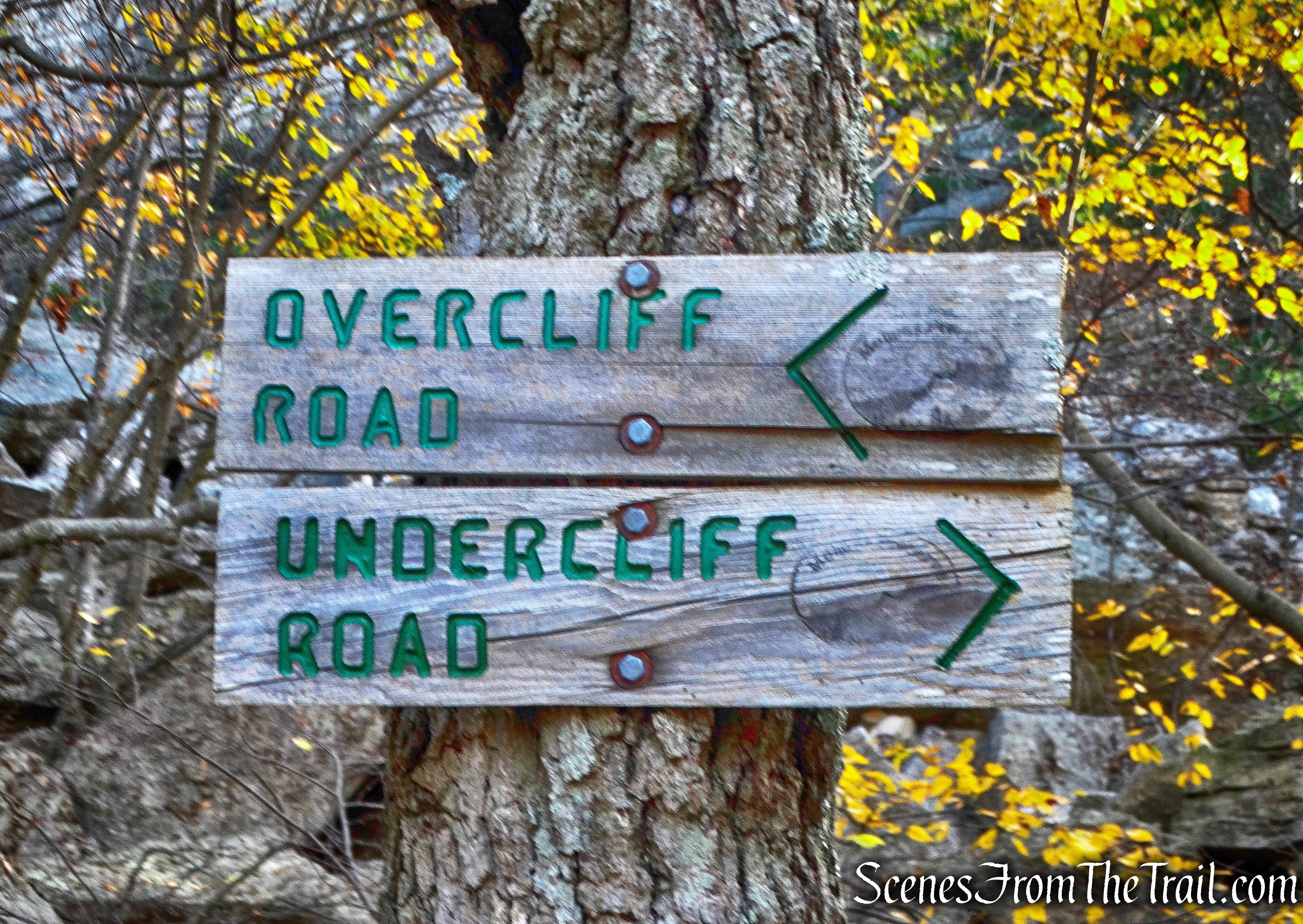 Follow Undercliff Road