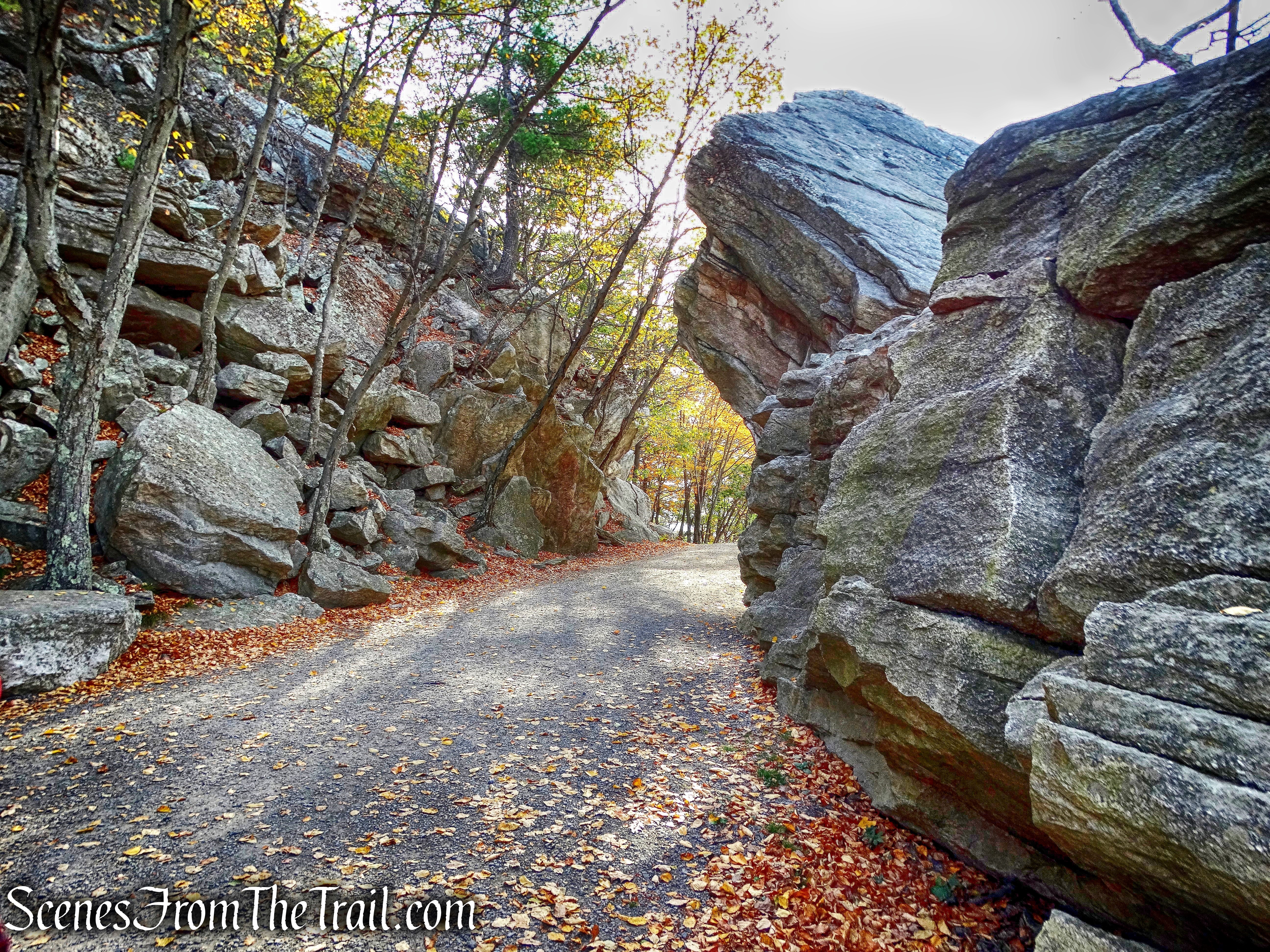 Undercliff Road