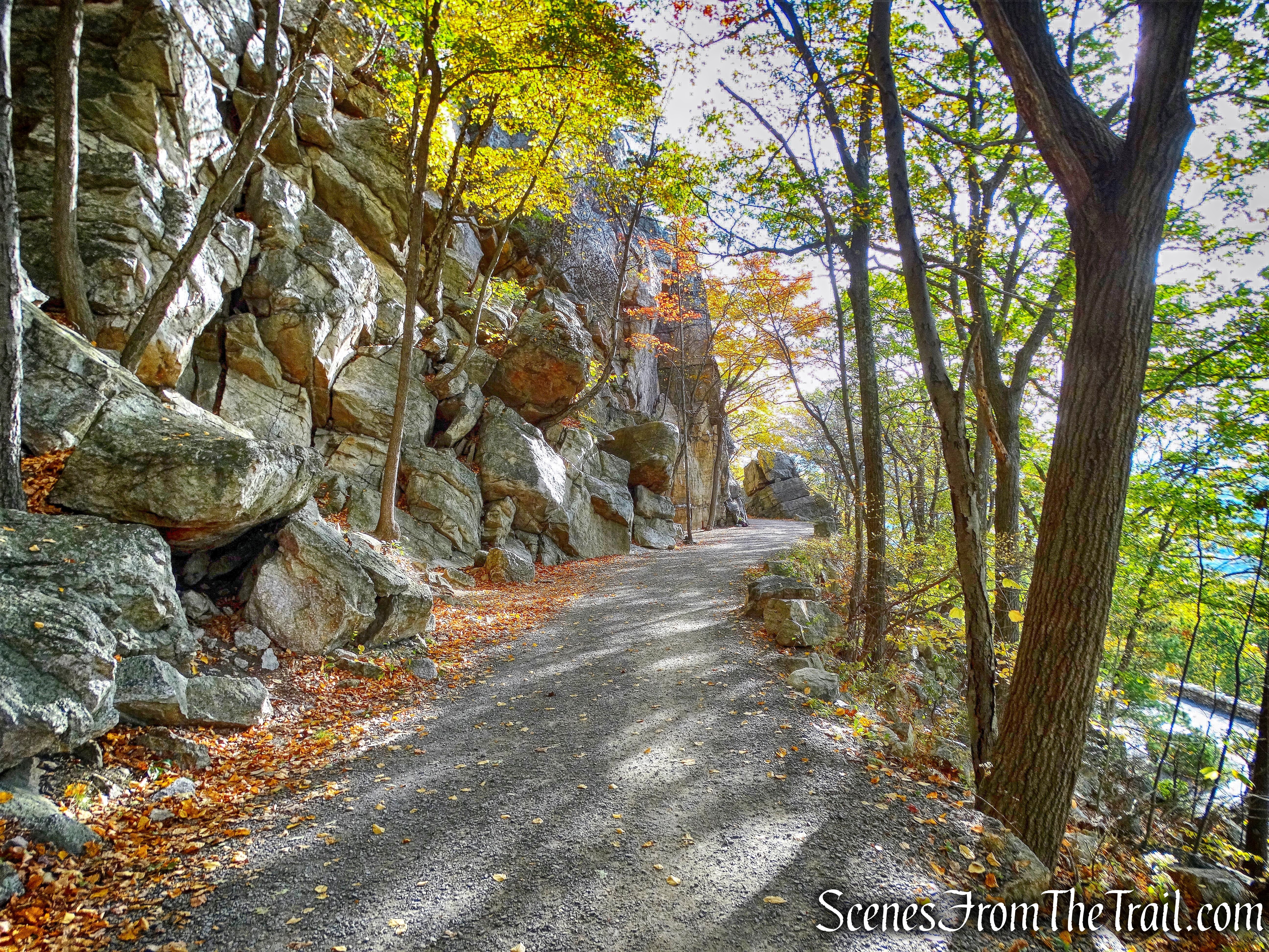Undercliff Road