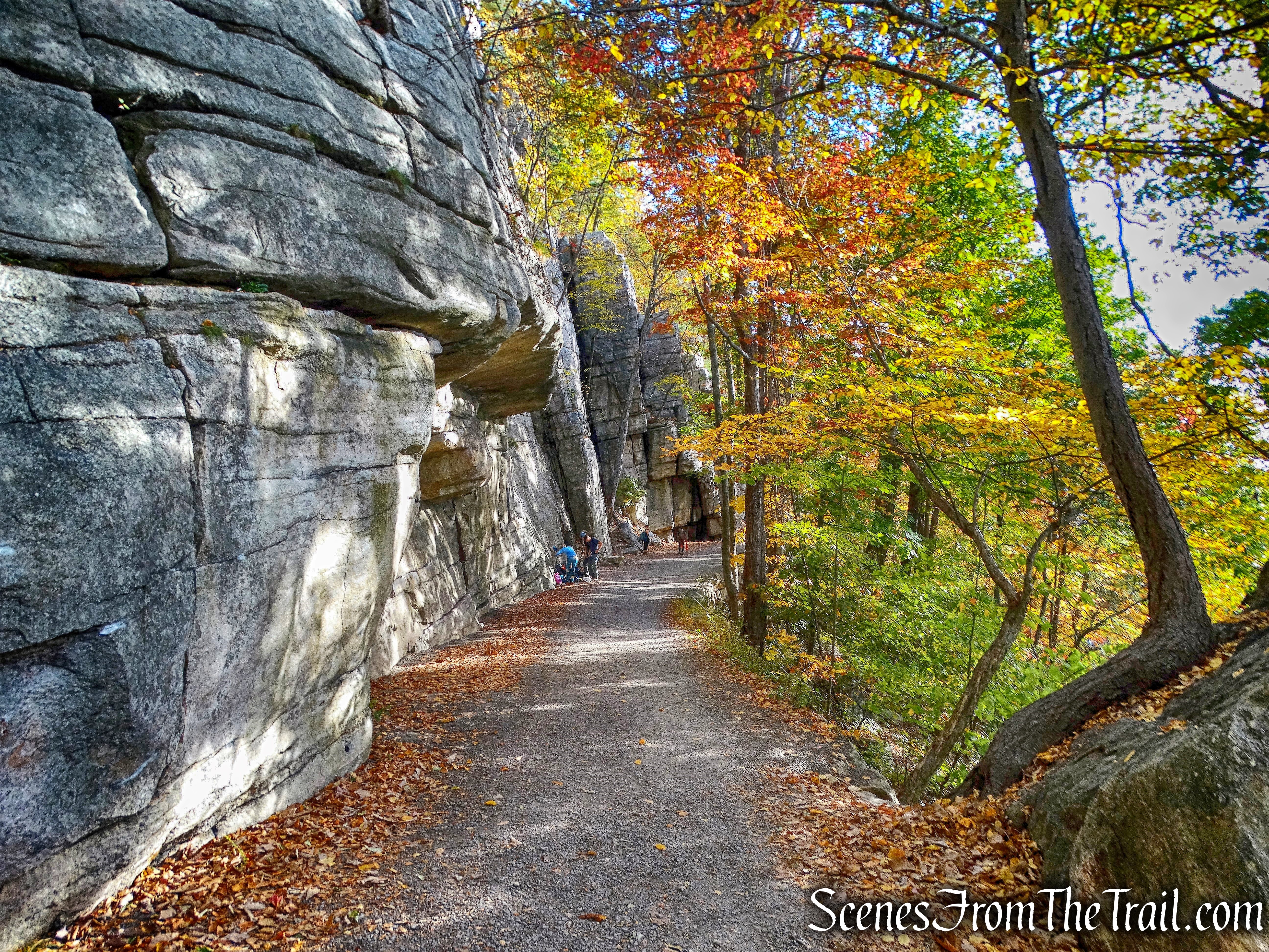 Undercliff Road