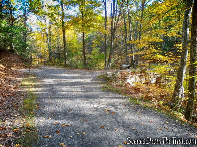 Intersection of Undercliff/Overcliff Roads, and Laurel Ledge