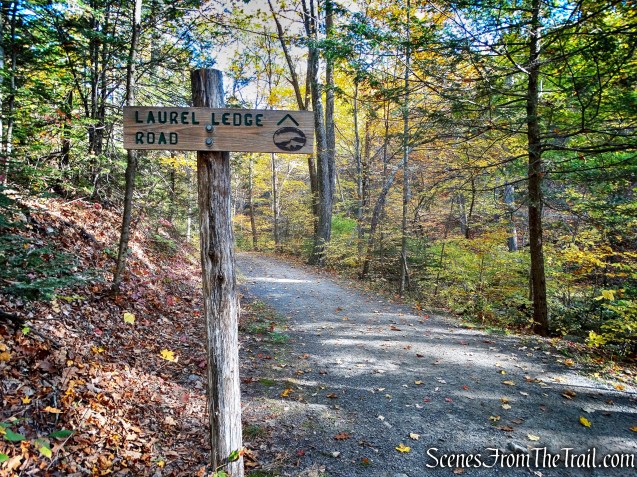 Laurel Ledge Road