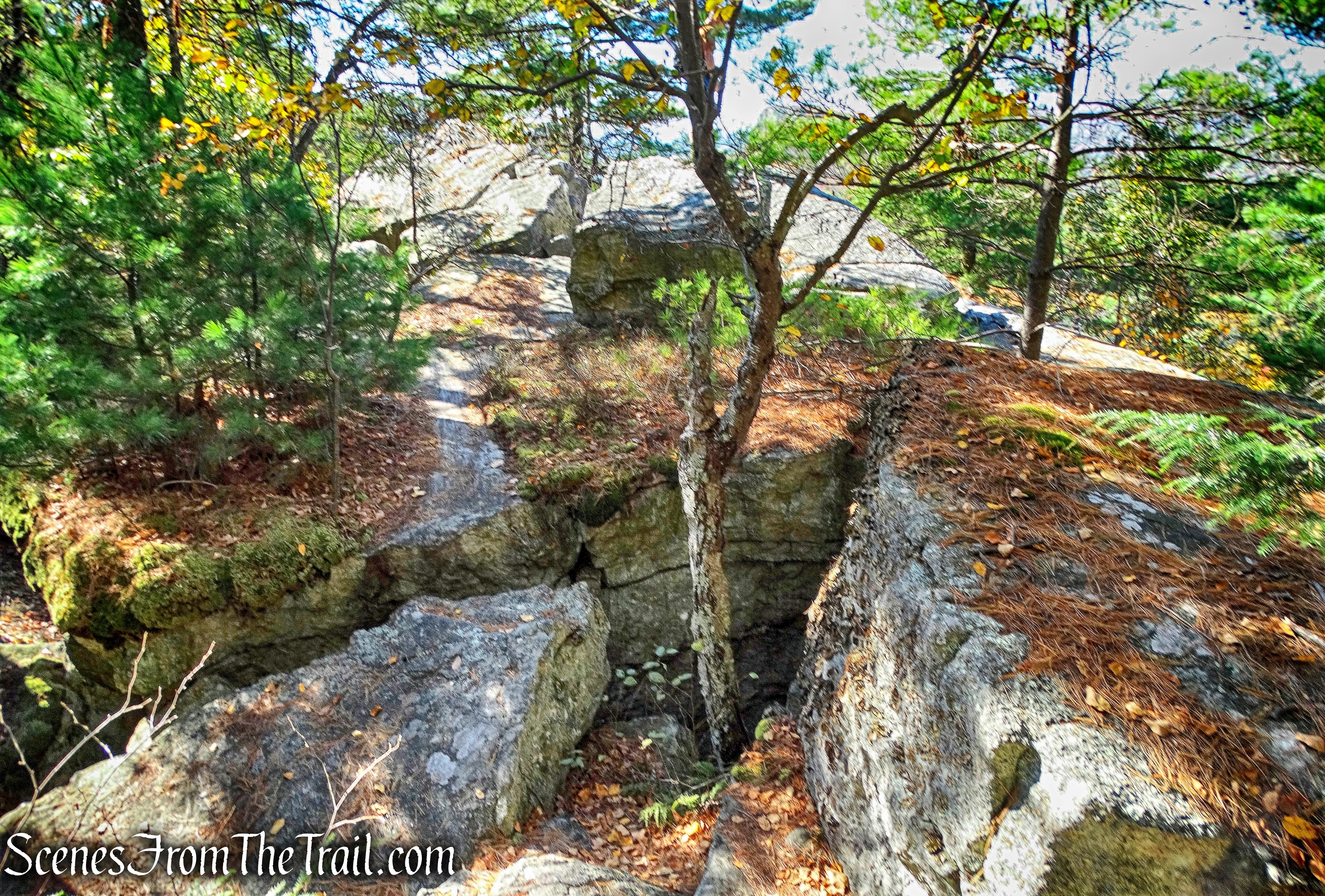 Humpty Dumpty Path