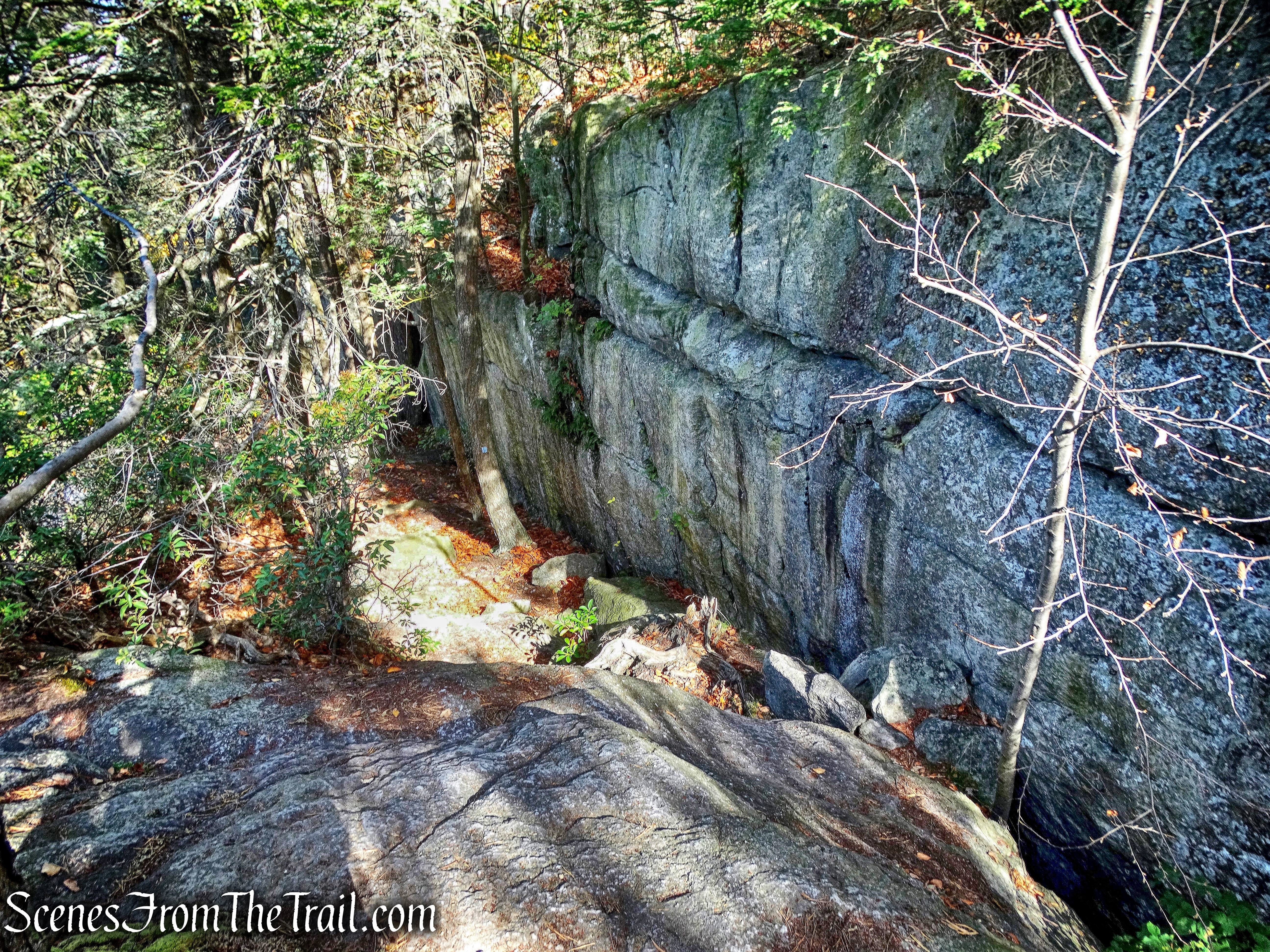 Cathedral Path