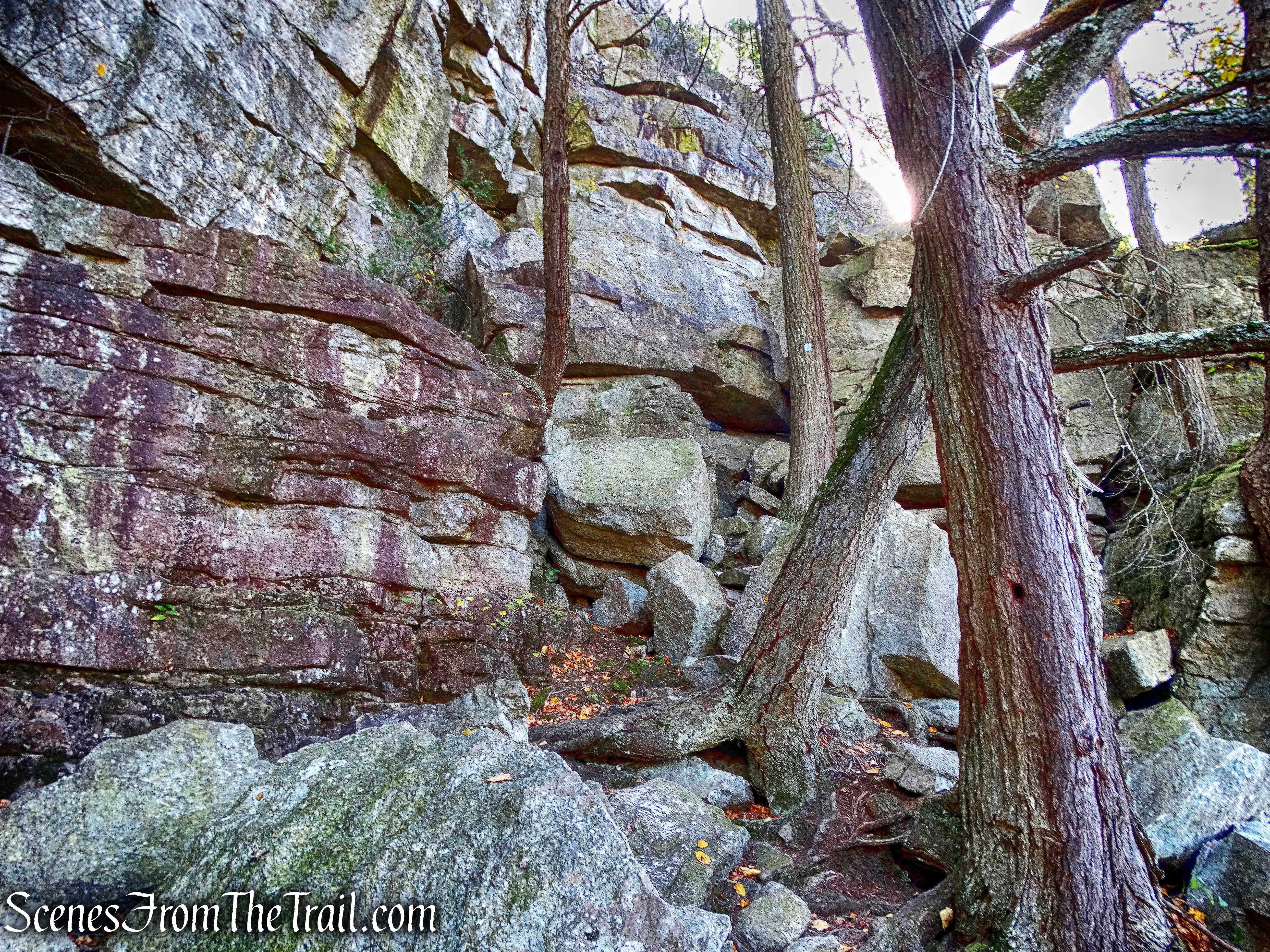 Cathedral Path
