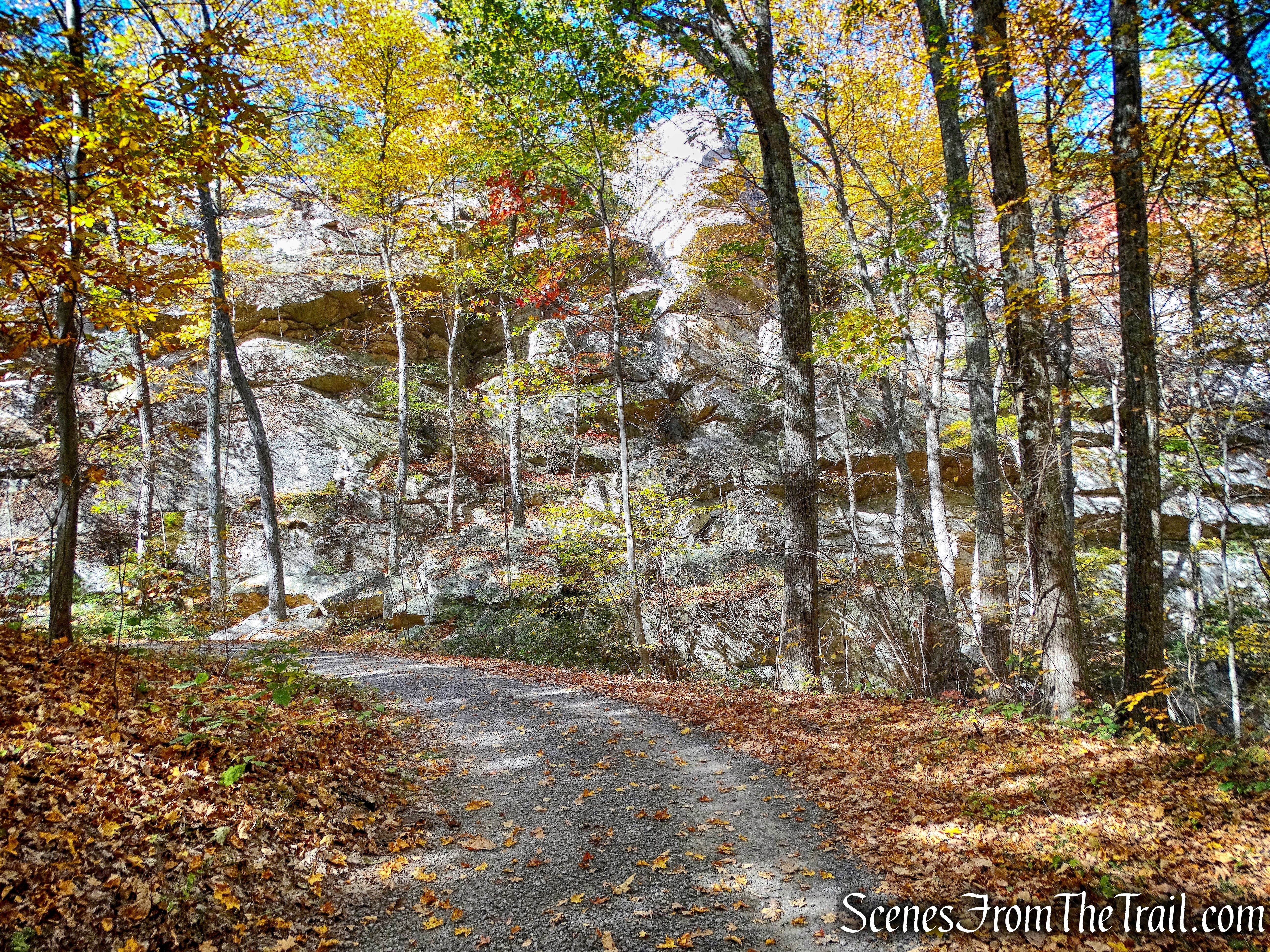 Overcliff Road