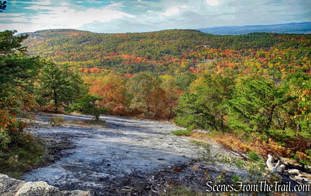 View from Overcliff Road