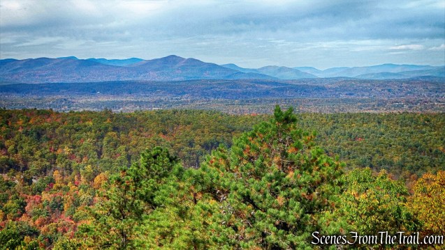 View from Overcliff Road