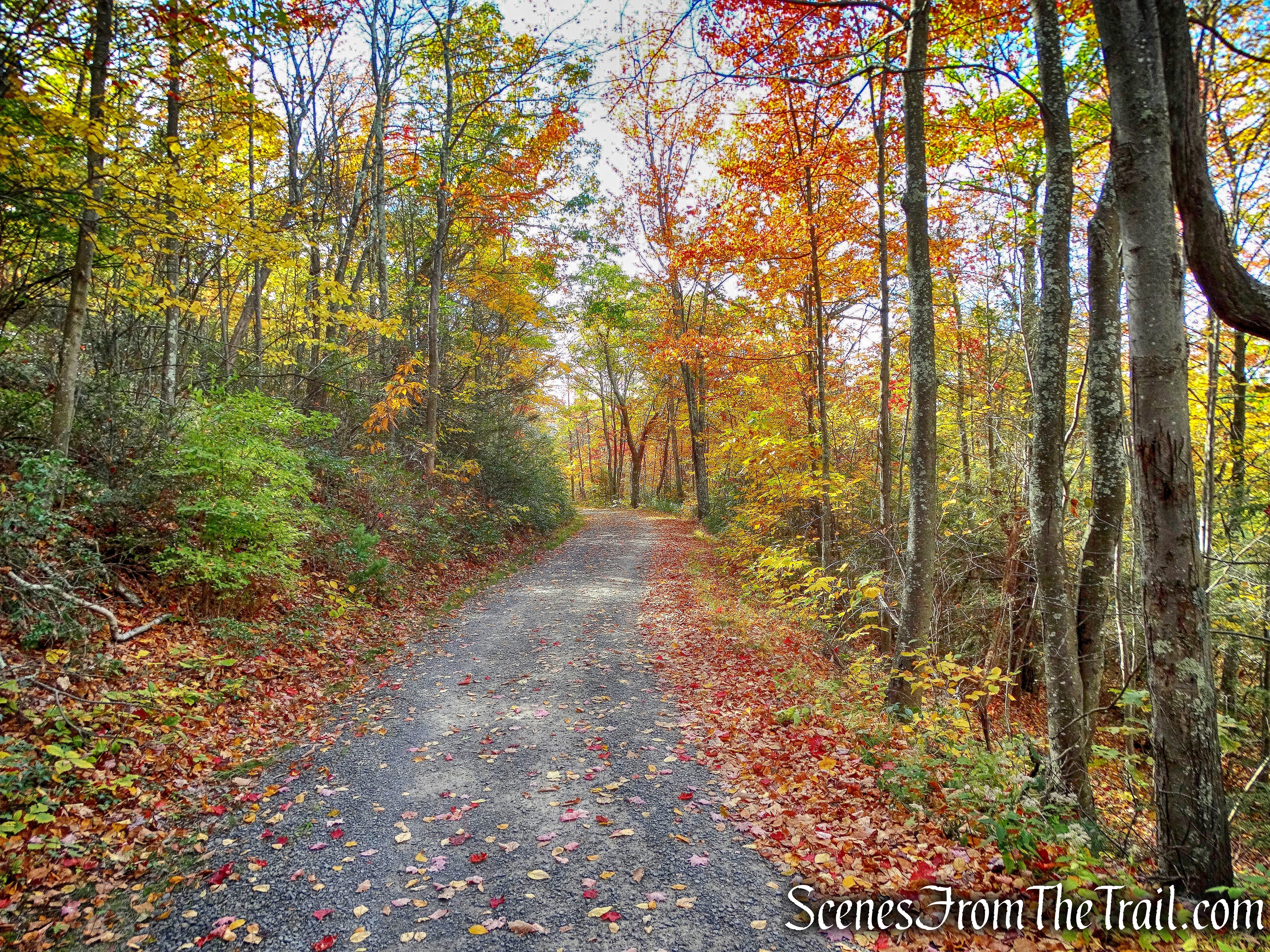 Overcliff Road