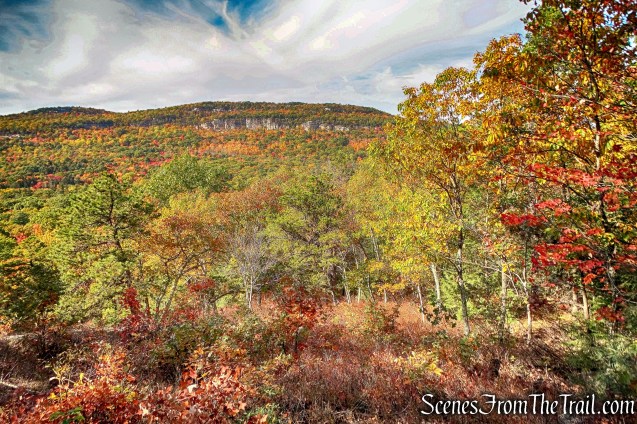 View from Overcliff Road