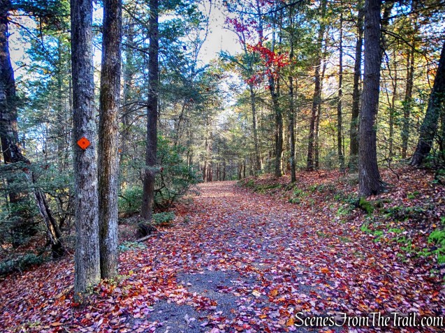 Beacon Hill Carriage Road