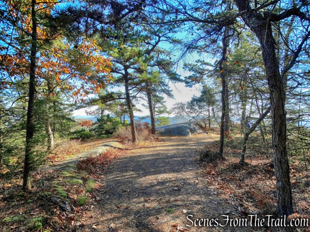 Beacon Hill Carriage Road