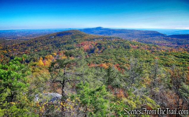 View from Beacon Hill Carriage Road