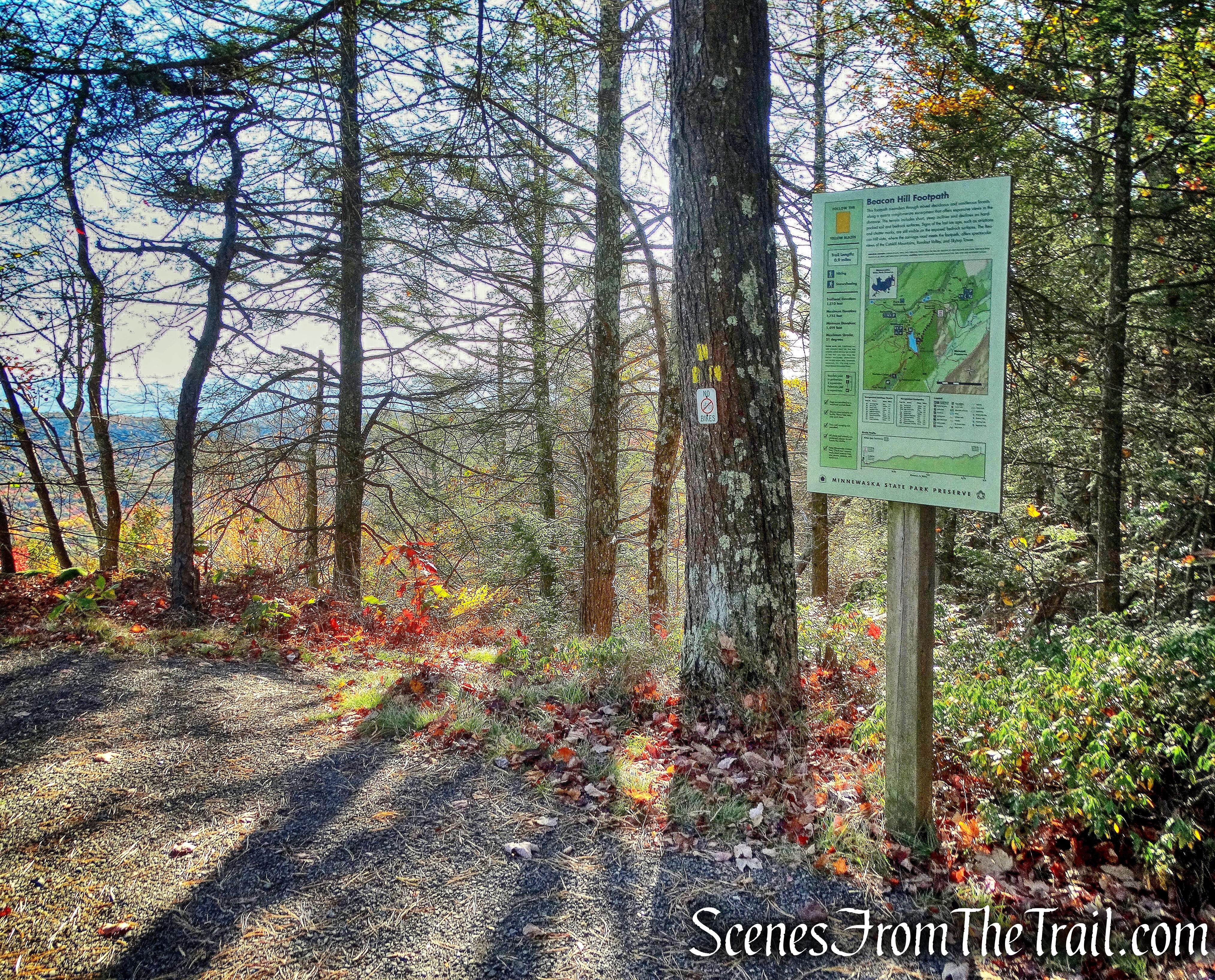 Beacon Hill Trail