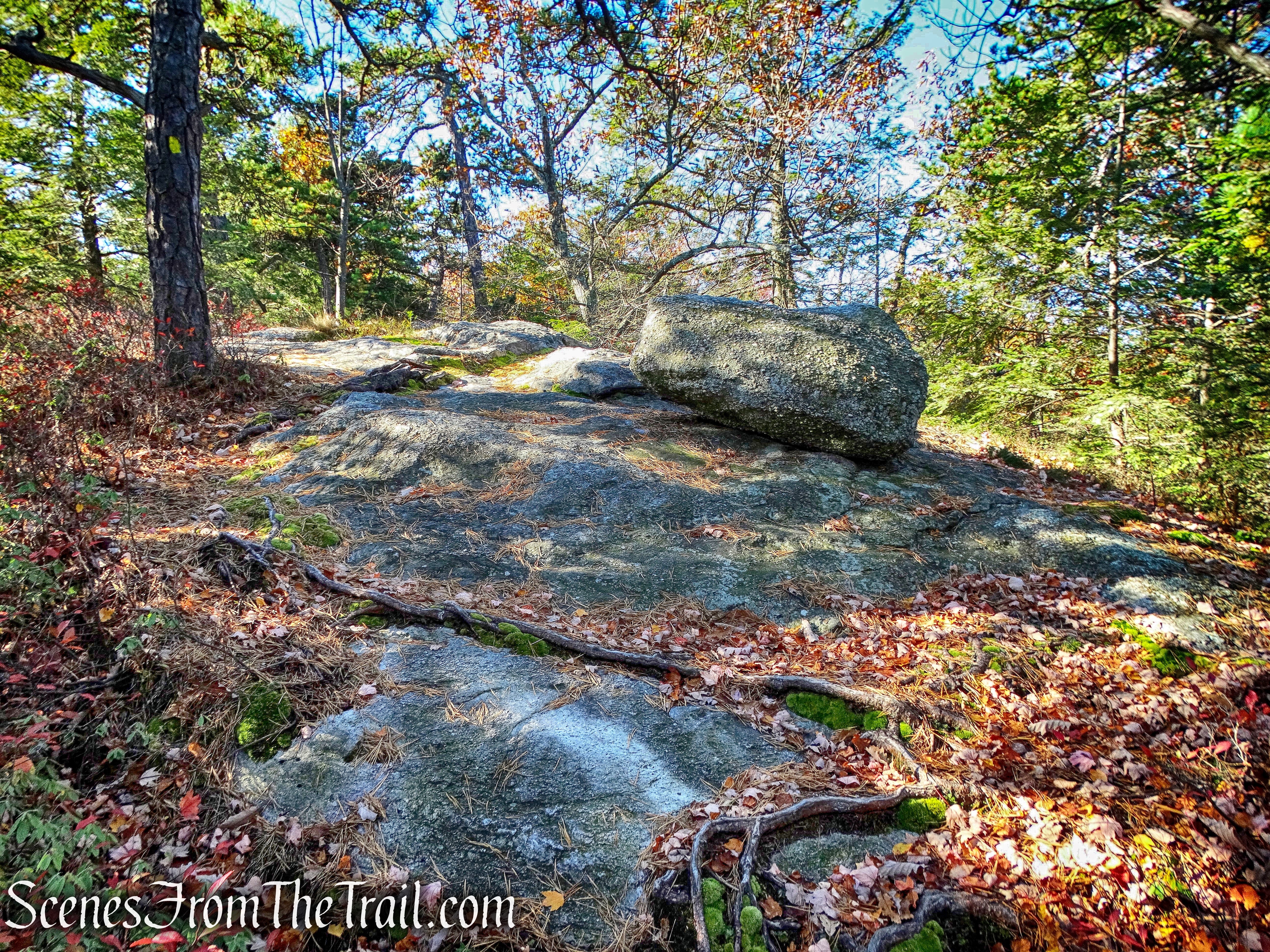 Beacon Hill Trail