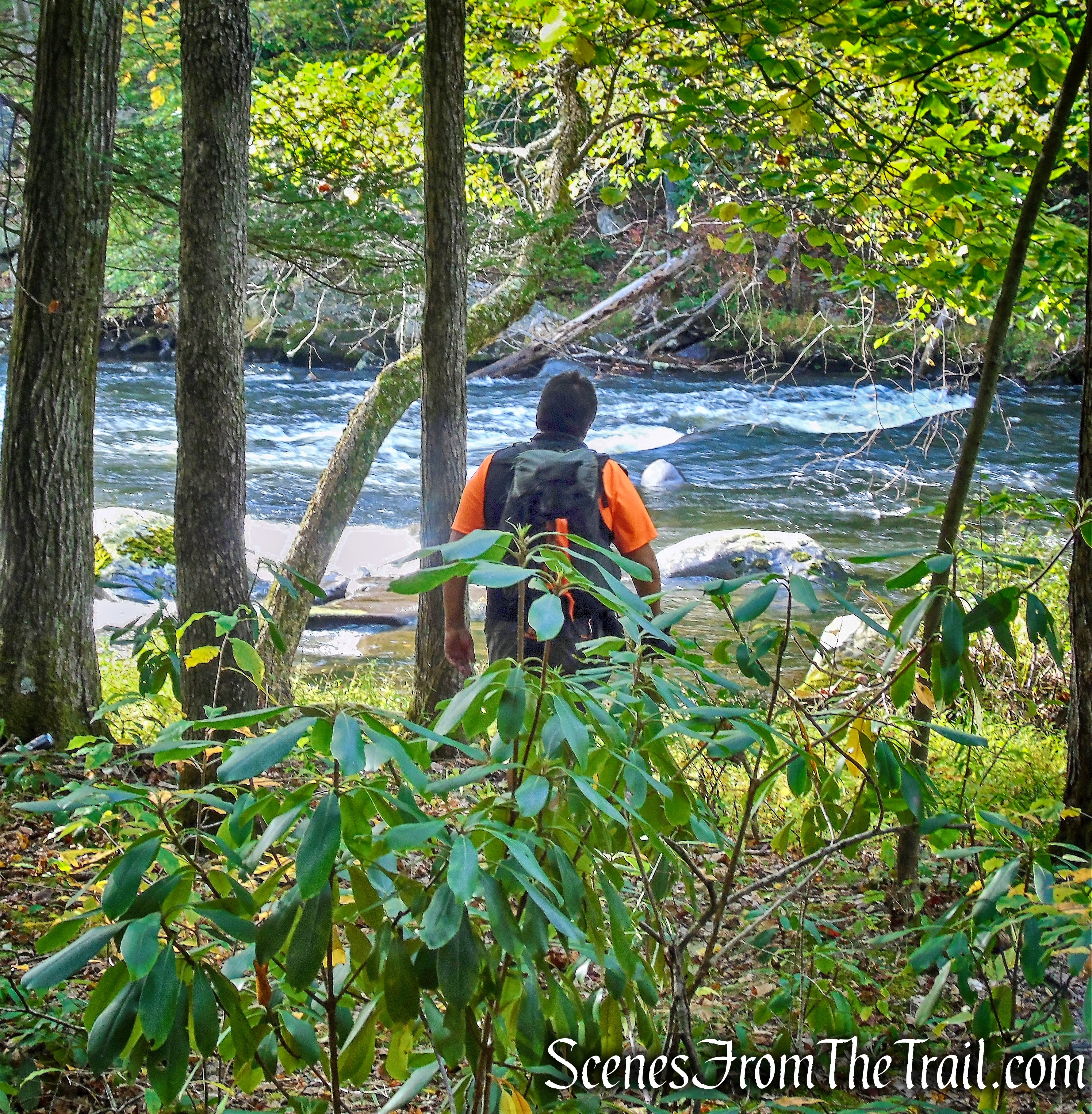 Mongaup River Trail