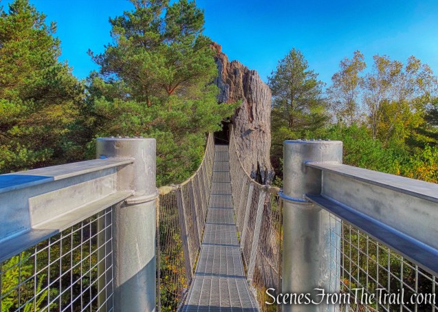 a four-story snag tree house
