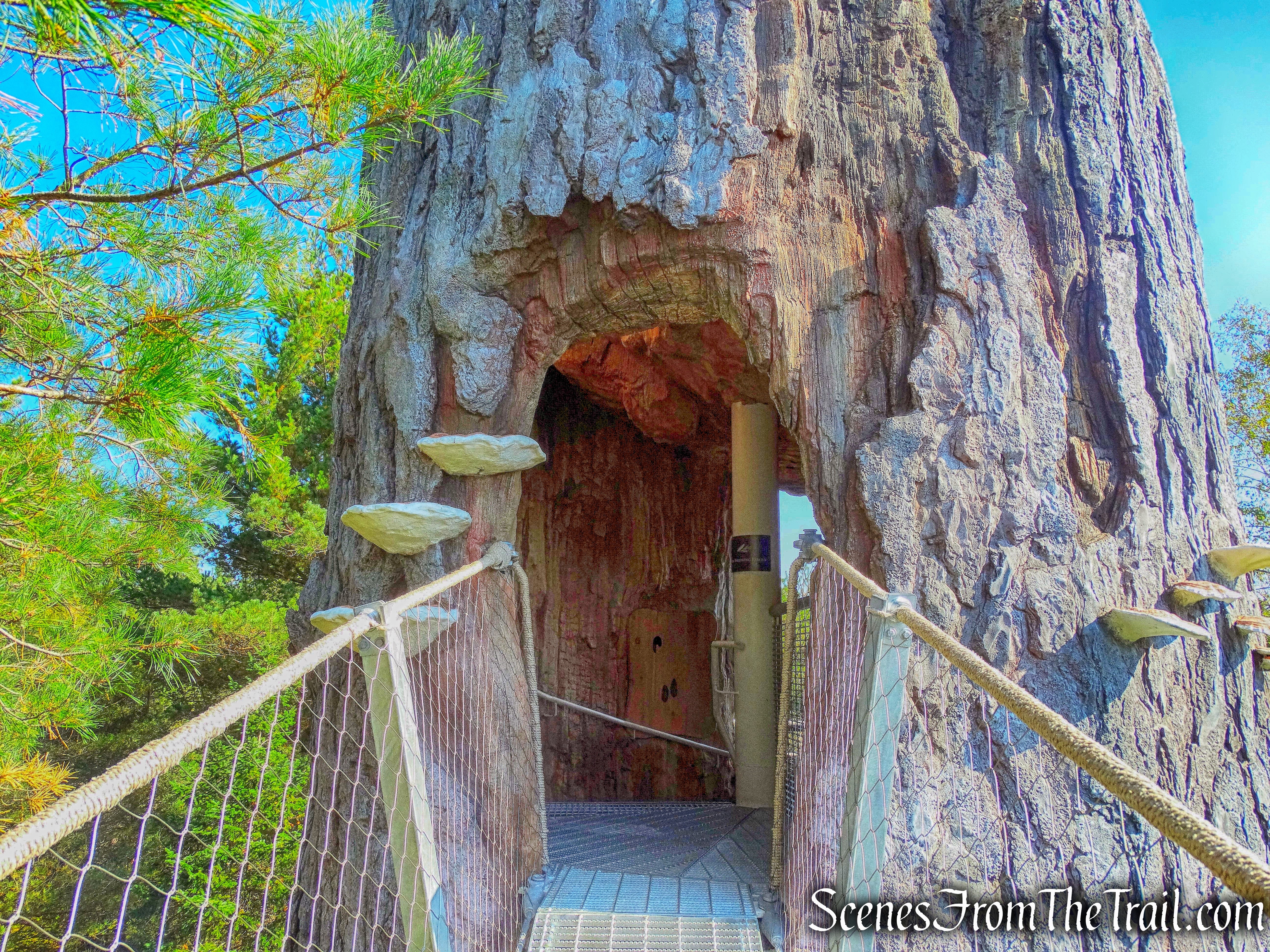 a four-story snag tree house
