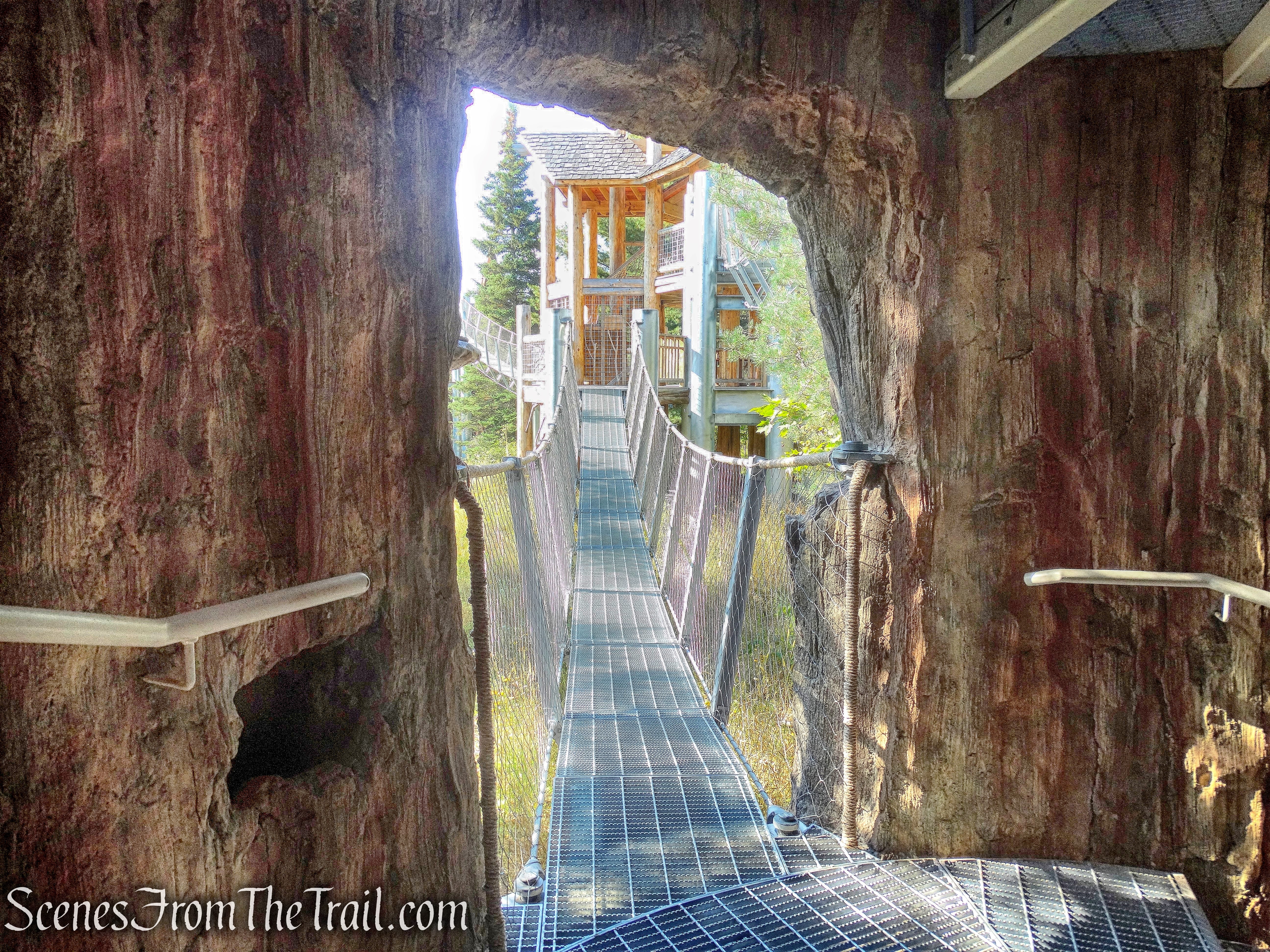 a four-story snag tree house
