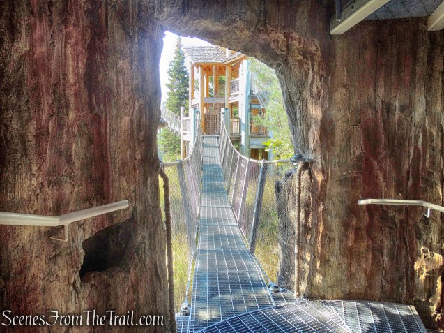 a four-story snag tree house