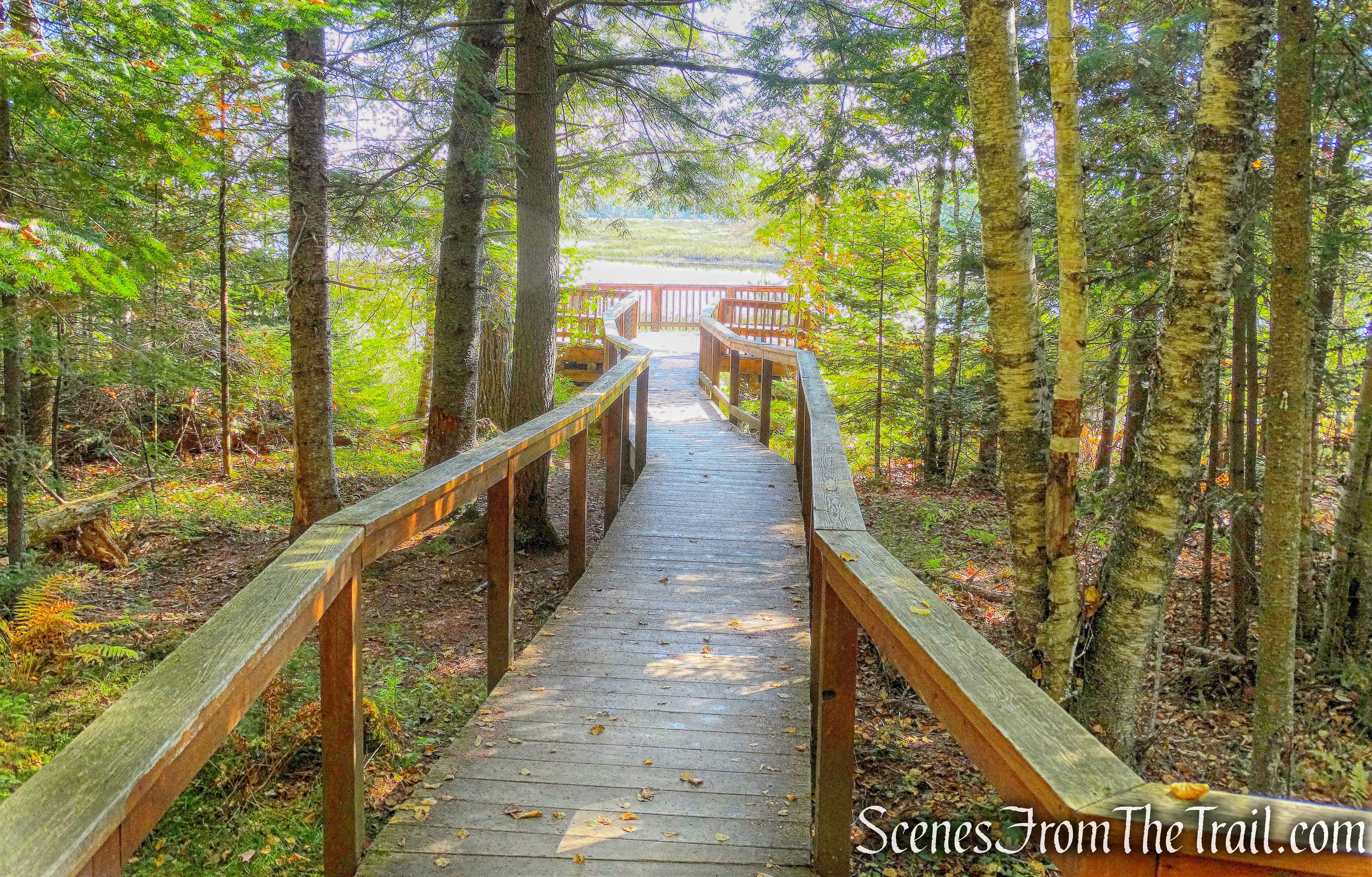 Oxbow Overlook Trail