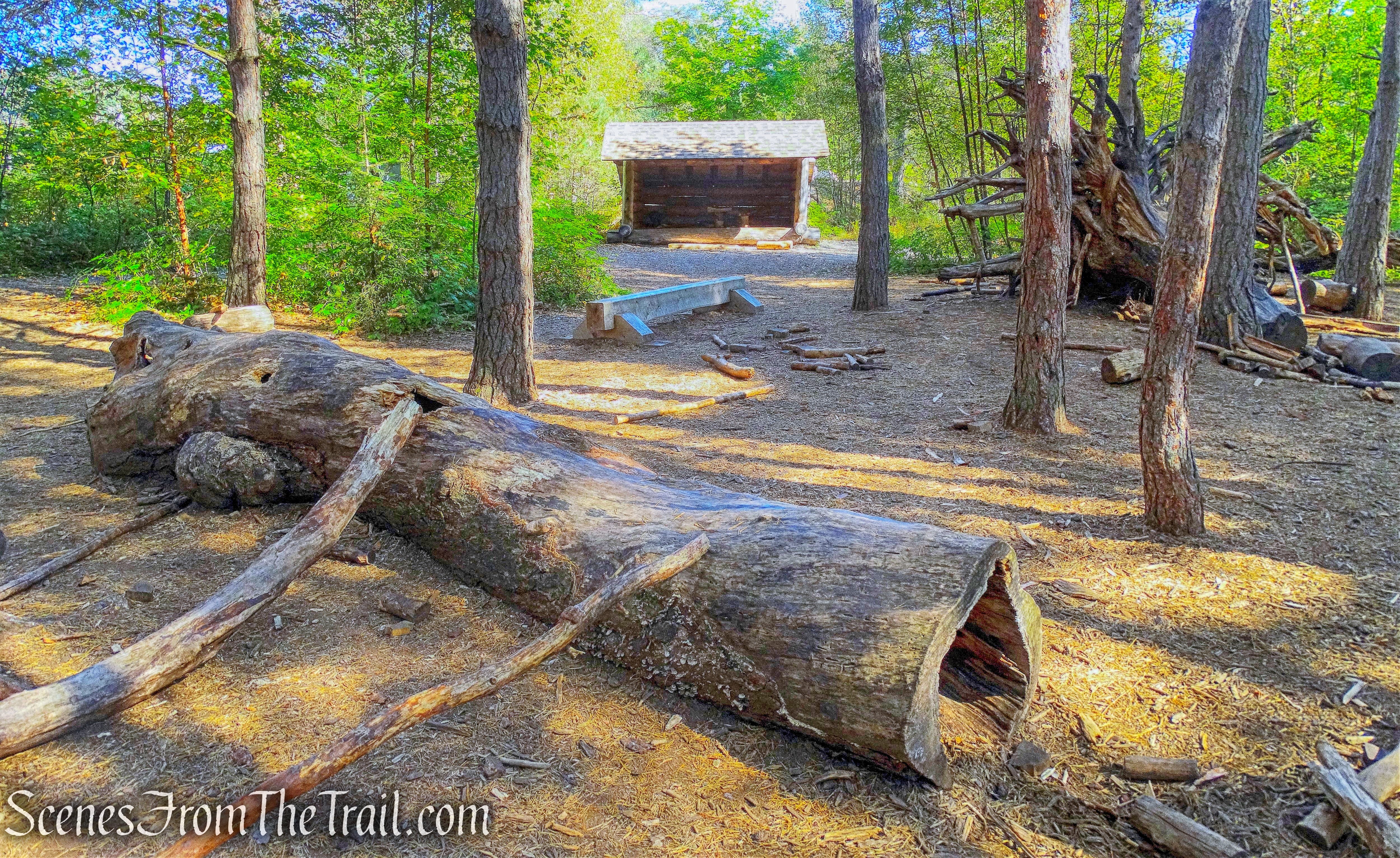 Pines Wild Play Area